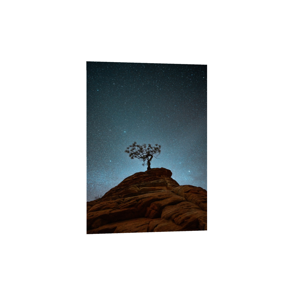 Lone Tree