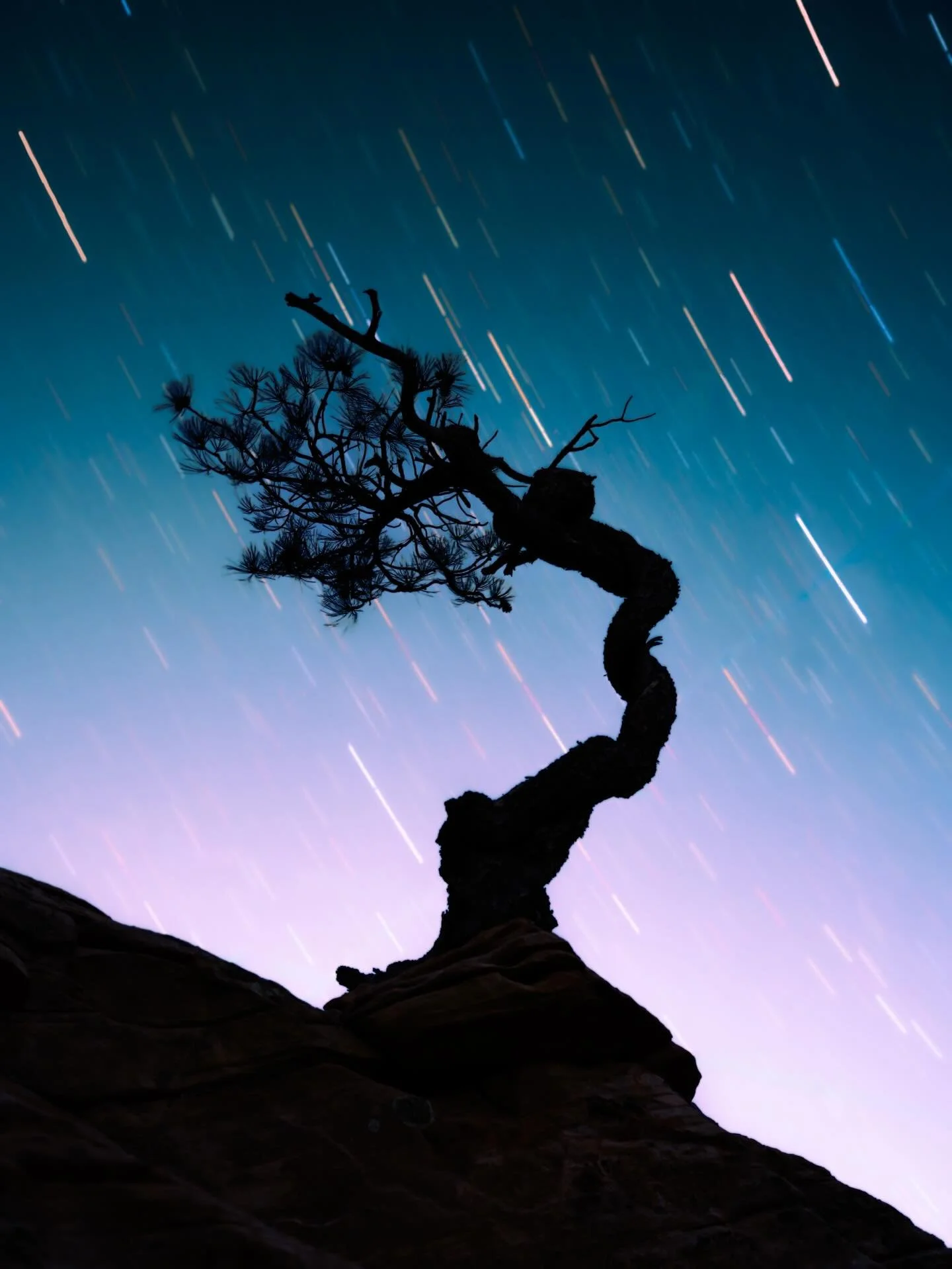Spent another night in Zion. I hiked around the east side for a while until I stumbled across this insane tree. I instantly knew it would be the subject to my next shot. I am excited that it will line up with the Milky Way in August&hellip; I&rsquo;l