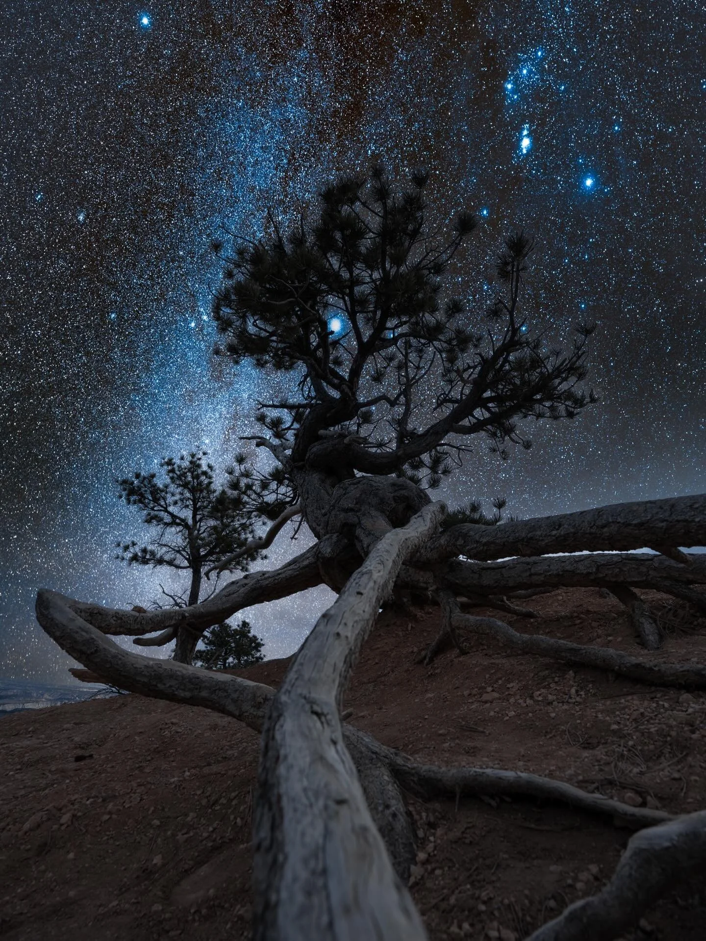 A perfect birthday weekend of photography.