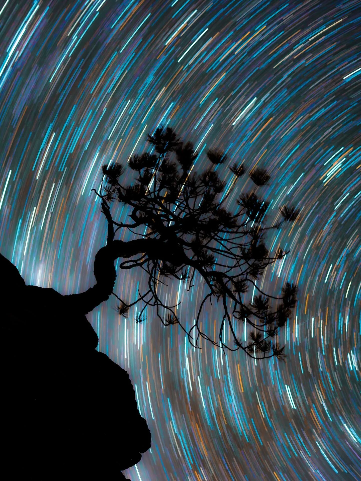 Loving these star trails lately. I was able to catch some clear skies between the storms we have been having last night. Got about 20 minutes of clear skies before it got cloudy again.