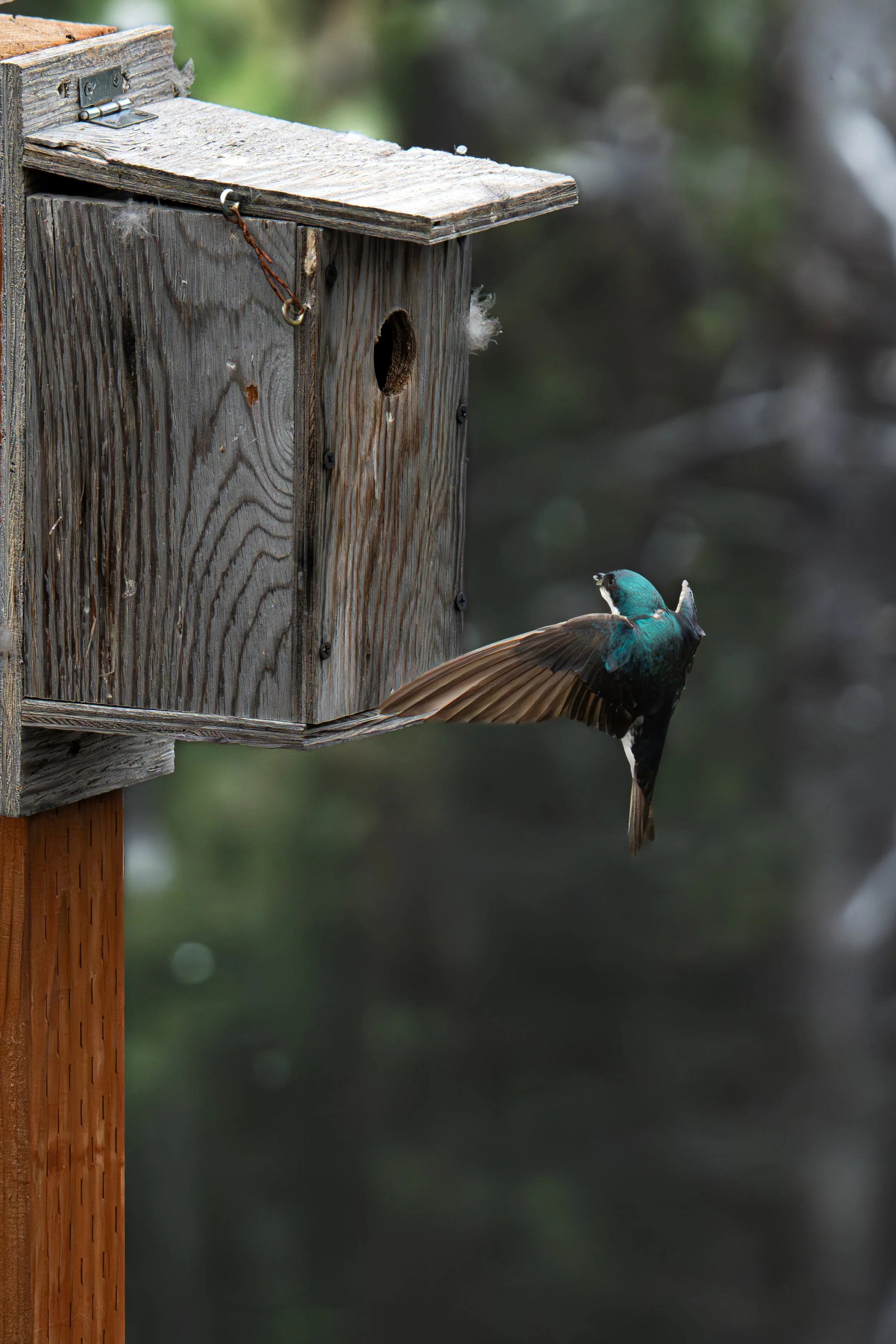 _DSC9058.jpeg