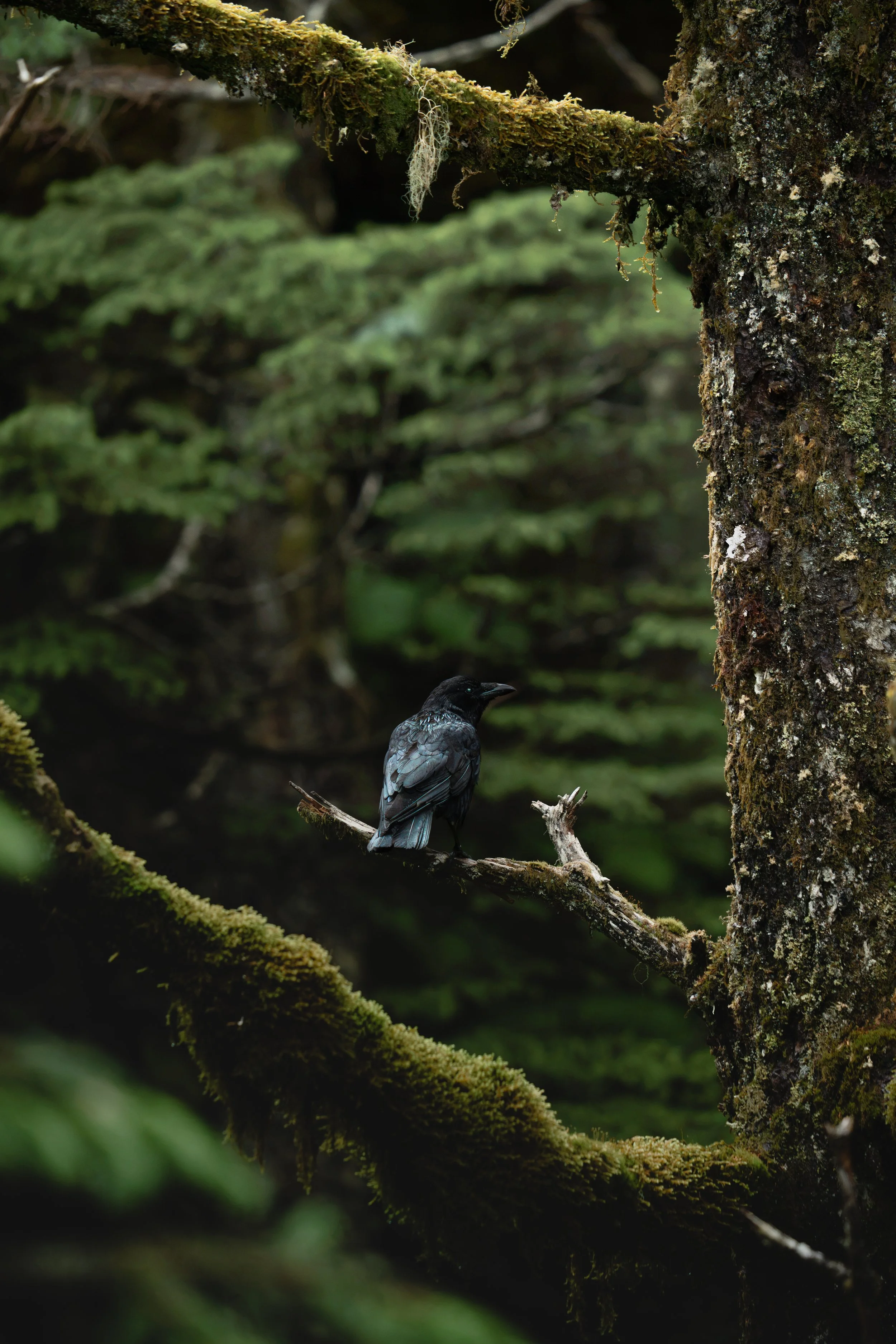 _DSC9610.jpeg