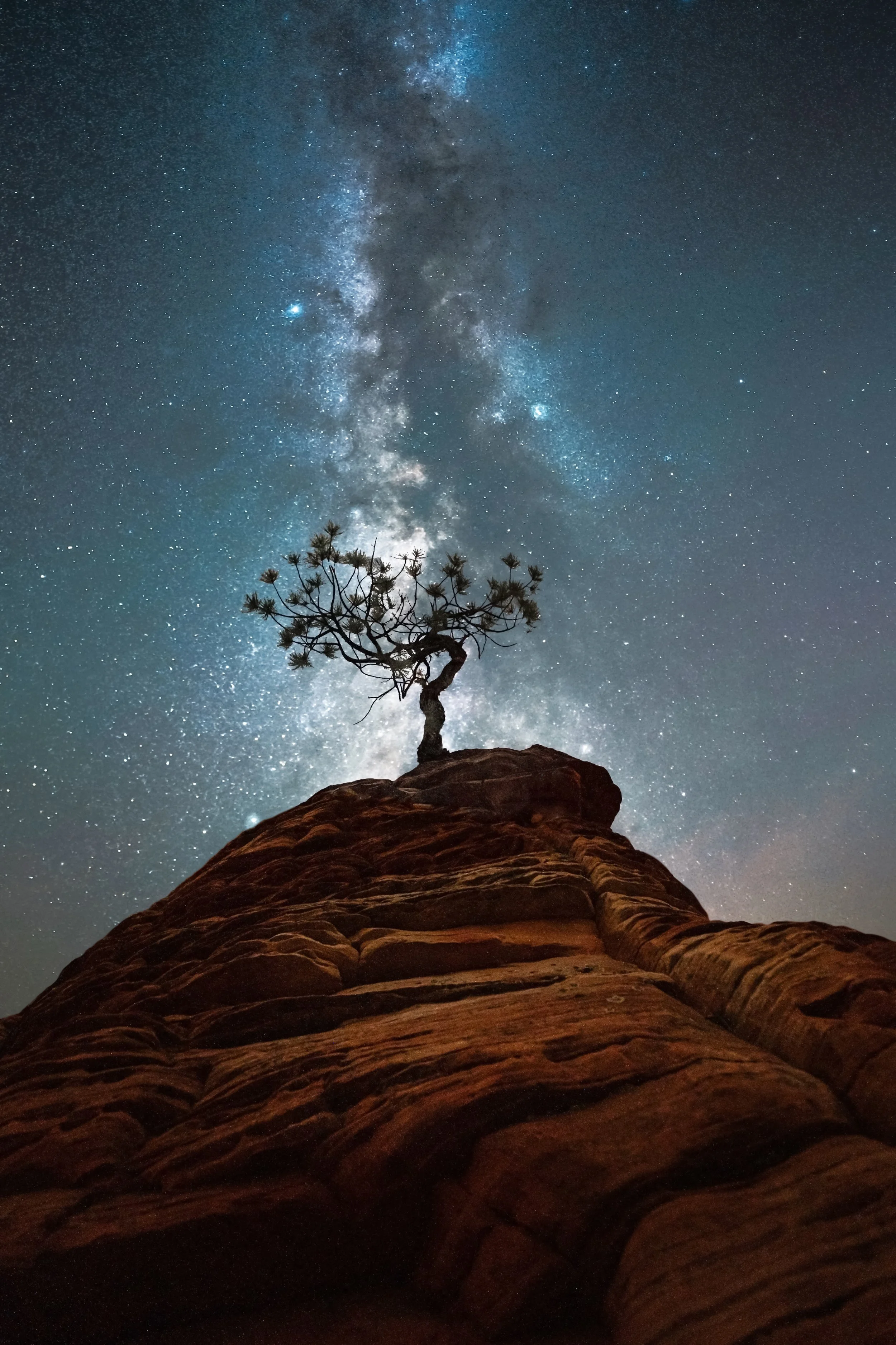 tree alignment printable full.jpeg