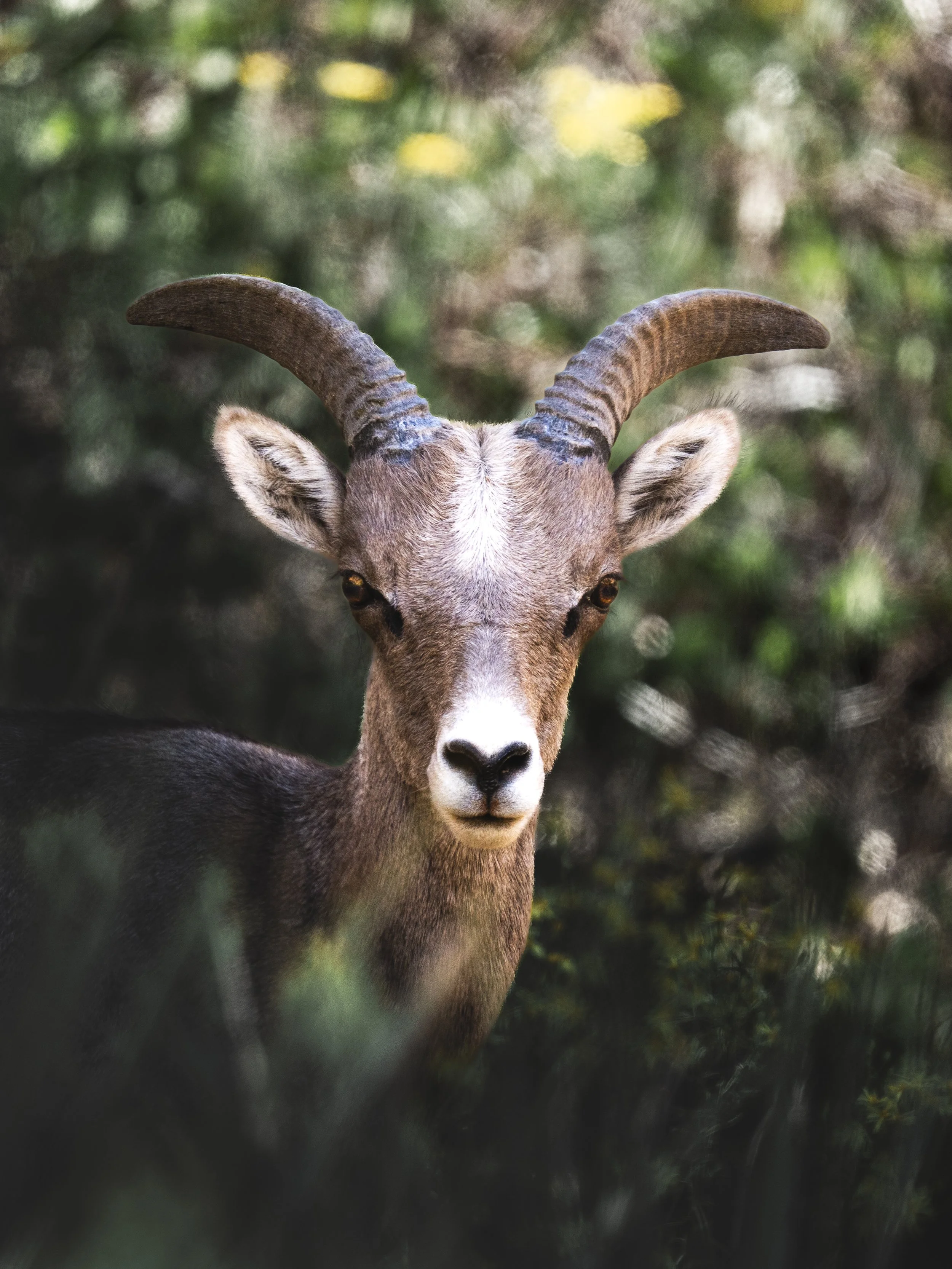 _DSC1523.jpeg