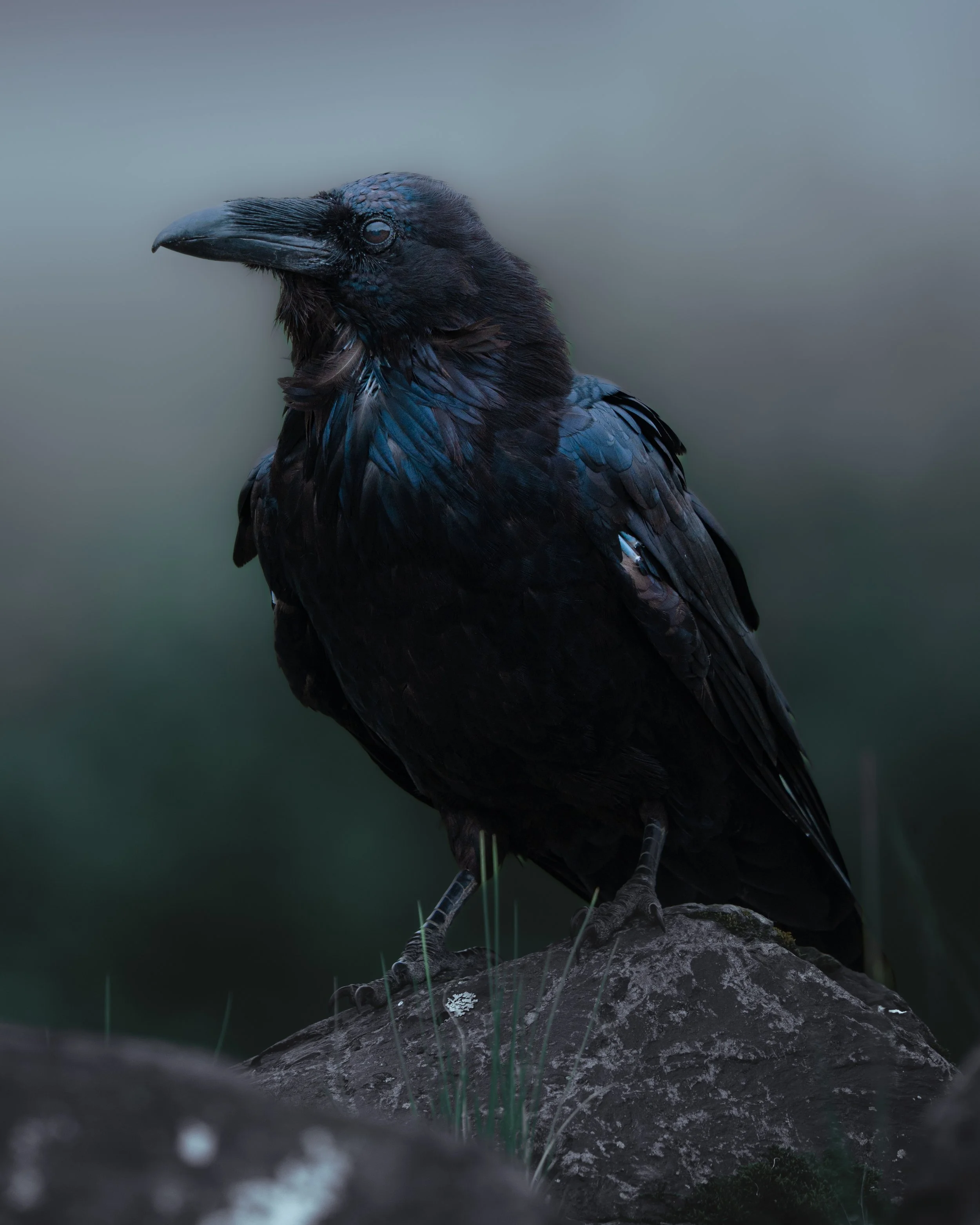 _DSC9414.jpeg