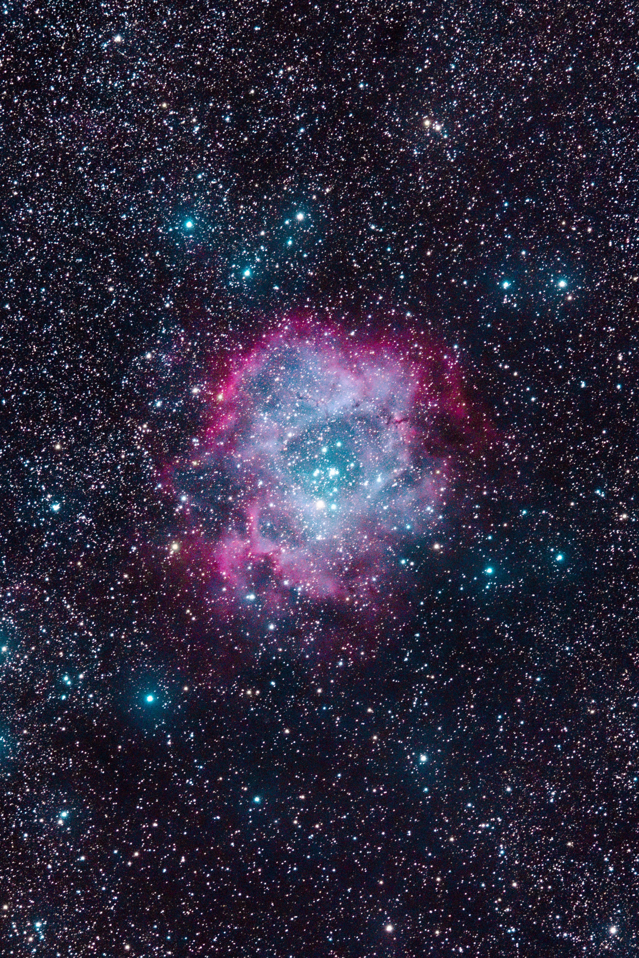 r_rossette 1_stacked.jpeg