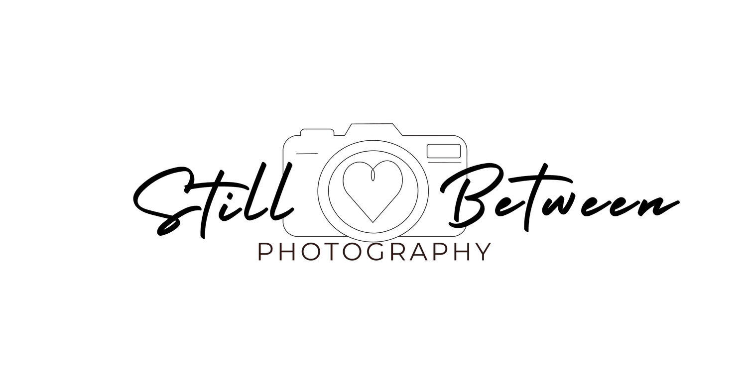 Still Between Photography by Janica Hudson