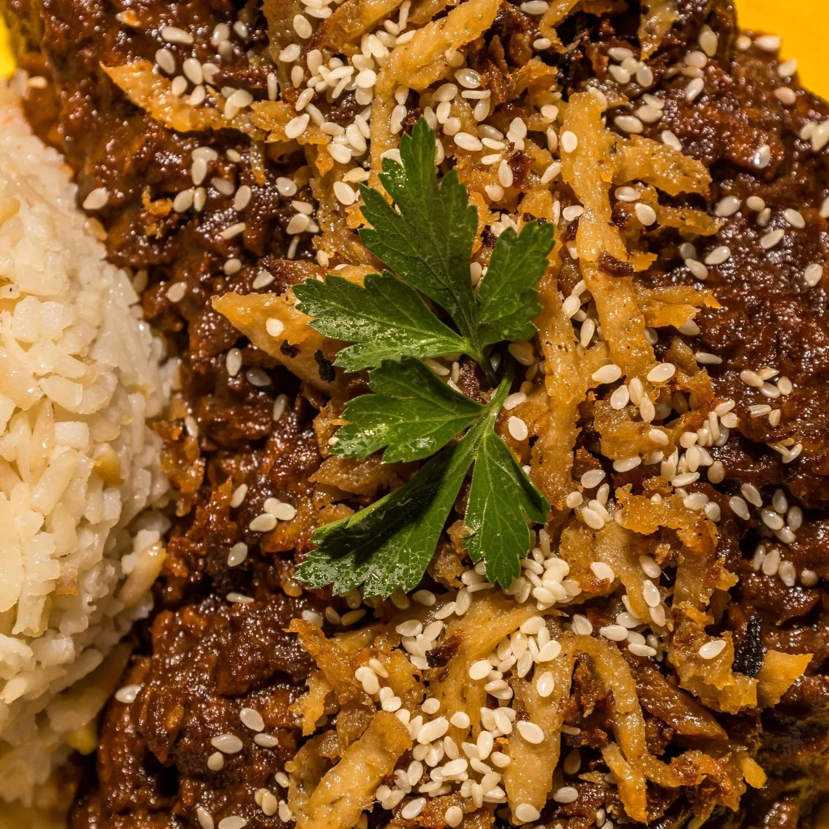 Pollo con mole, semillas de sésamo y una rama de perejil decorativa y arroz de guarnición