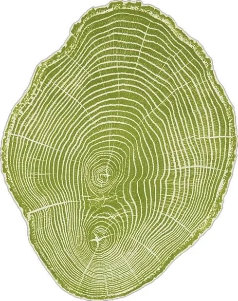 Sección transversal de un tronco de árbol con anillos de crecimiento visibles.