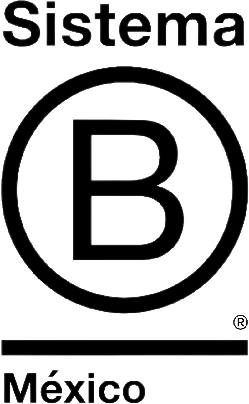 Logotipo en negro y blanco con la palabra 'Sistema' en la parte superior y 'México' en la parte inferior, con un círculo en el centro que contiene la letra B en negrita.