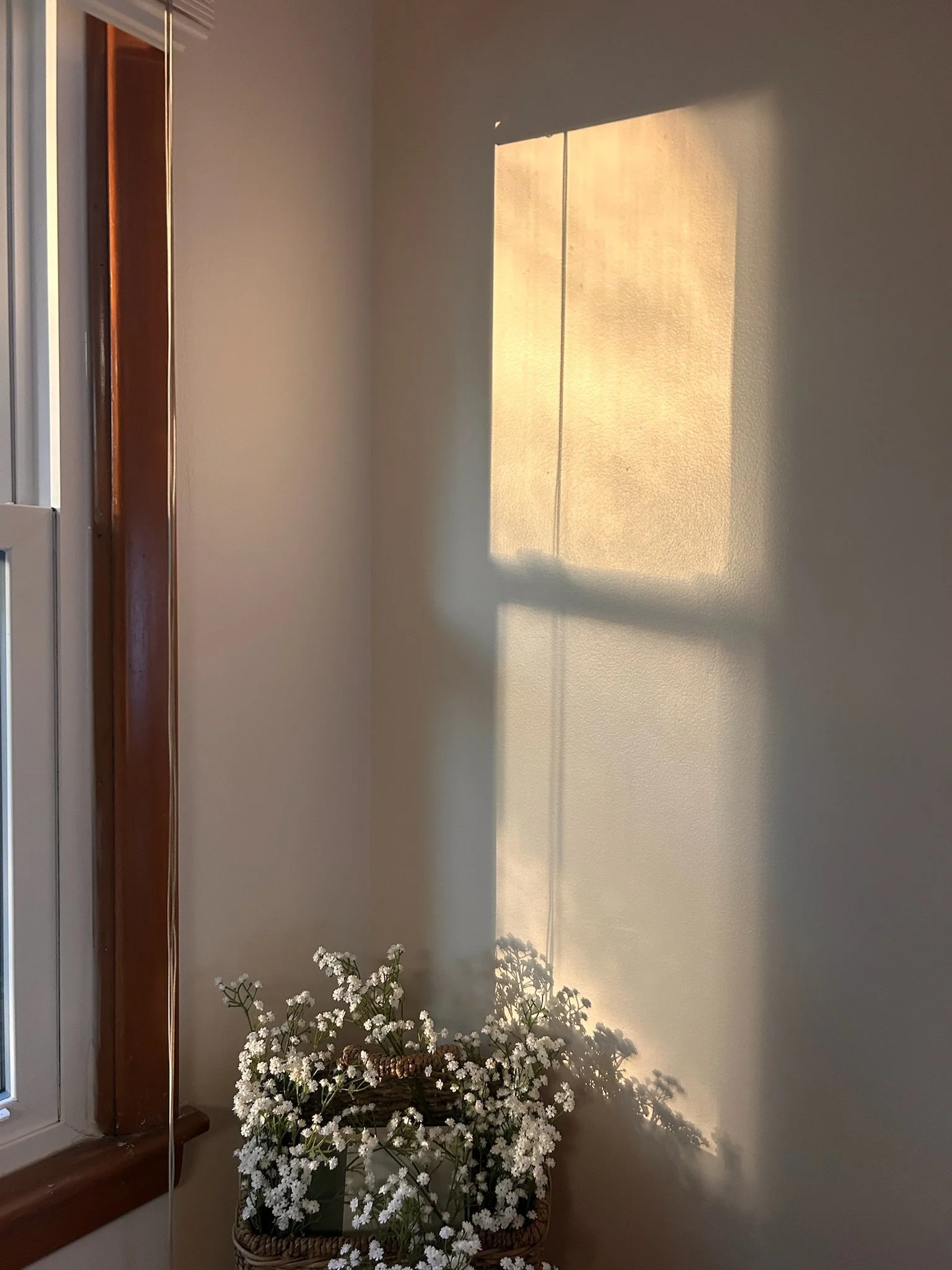 Sunlight casting a shadow of a window onto a plain wall with a basket of white flowers sitting on the floor nearby.