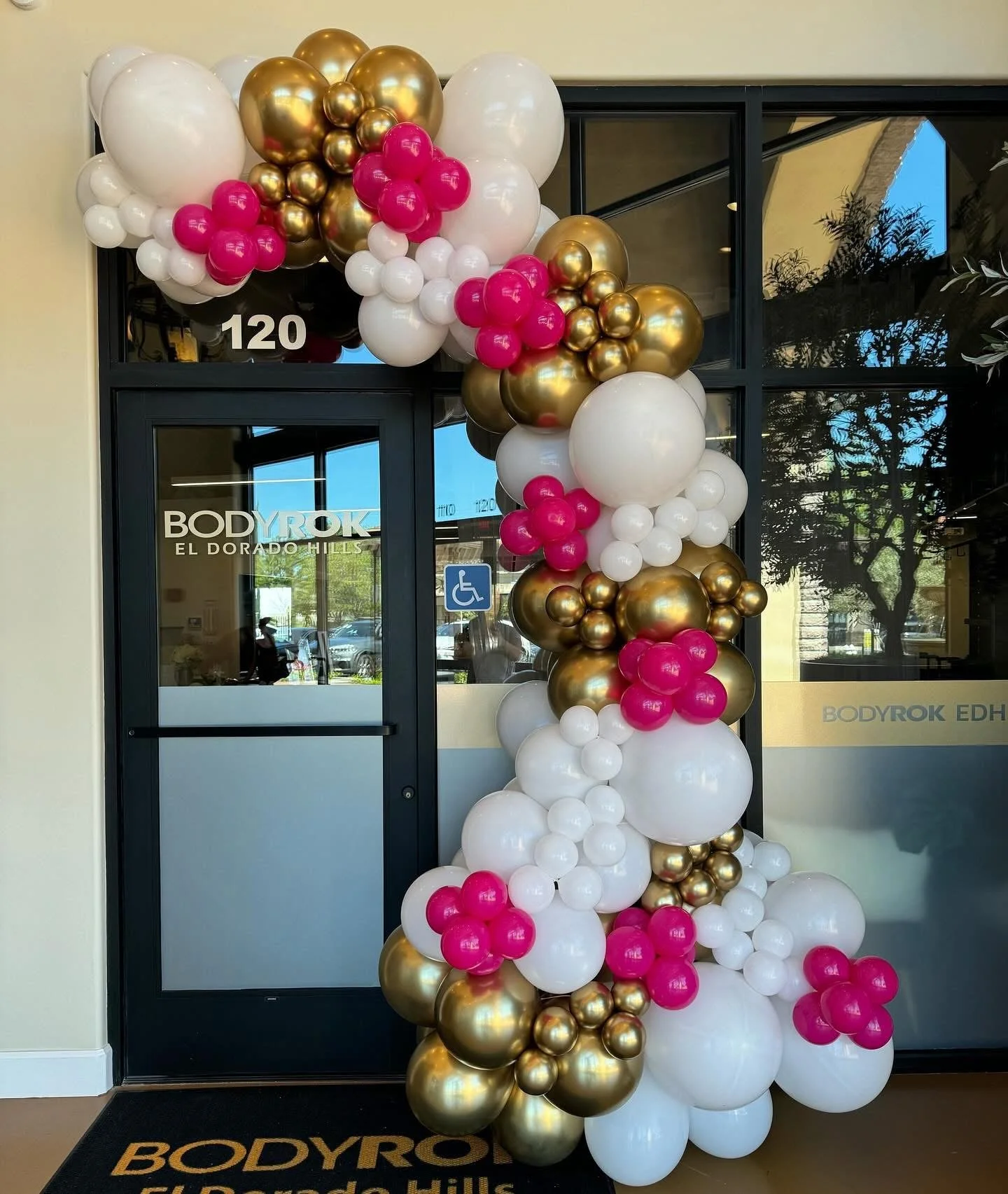 Balloon Garland