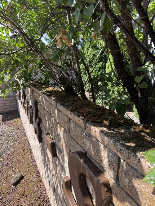 Before image
