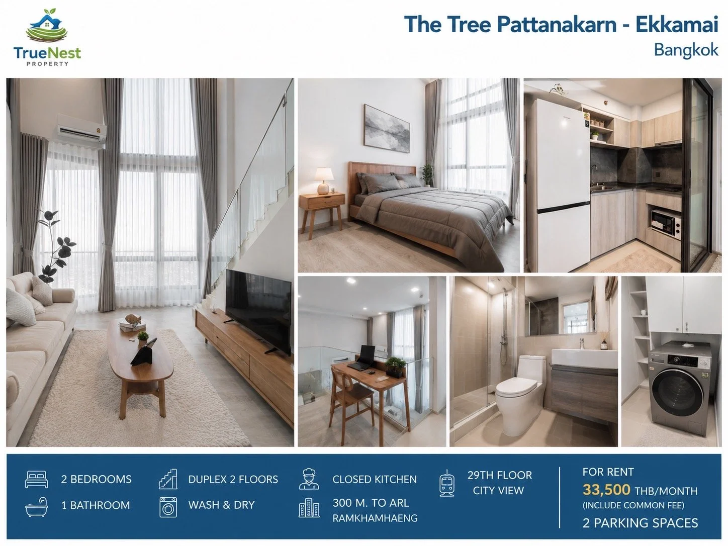 The Tree Pattanakarn
