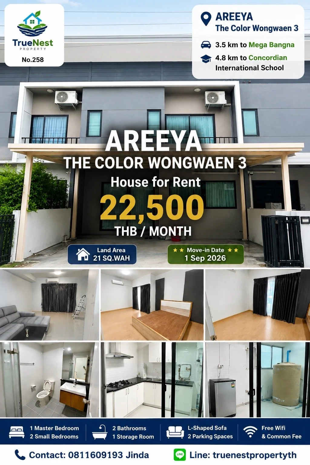 Areeya The Colour