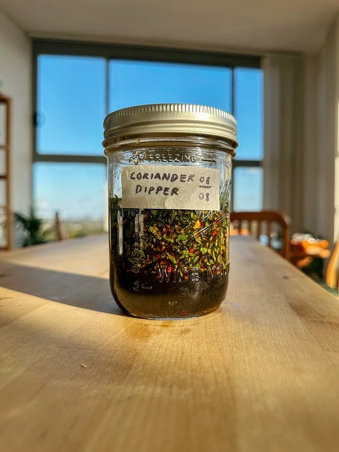 Coriander Dipping Sauce
