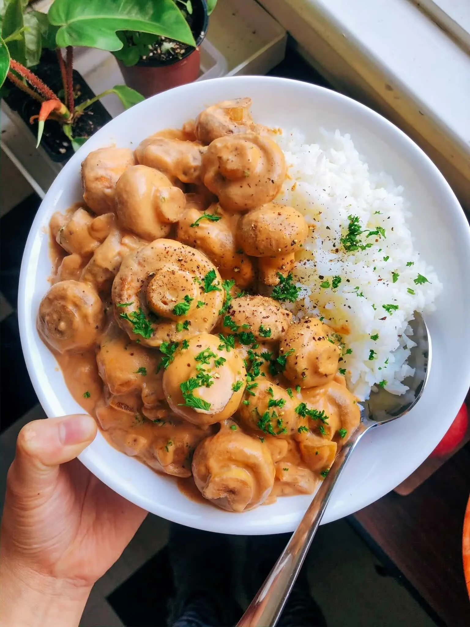 Vegan Mushroom Stroganoff