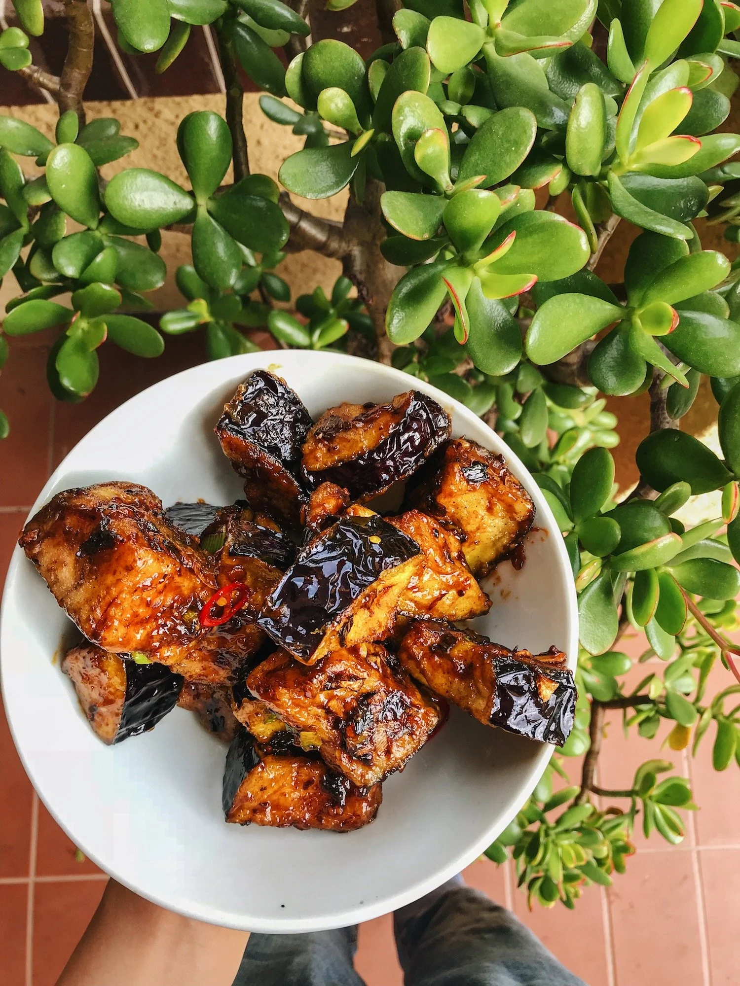 Chinese Sticky Garlic Eggplant
