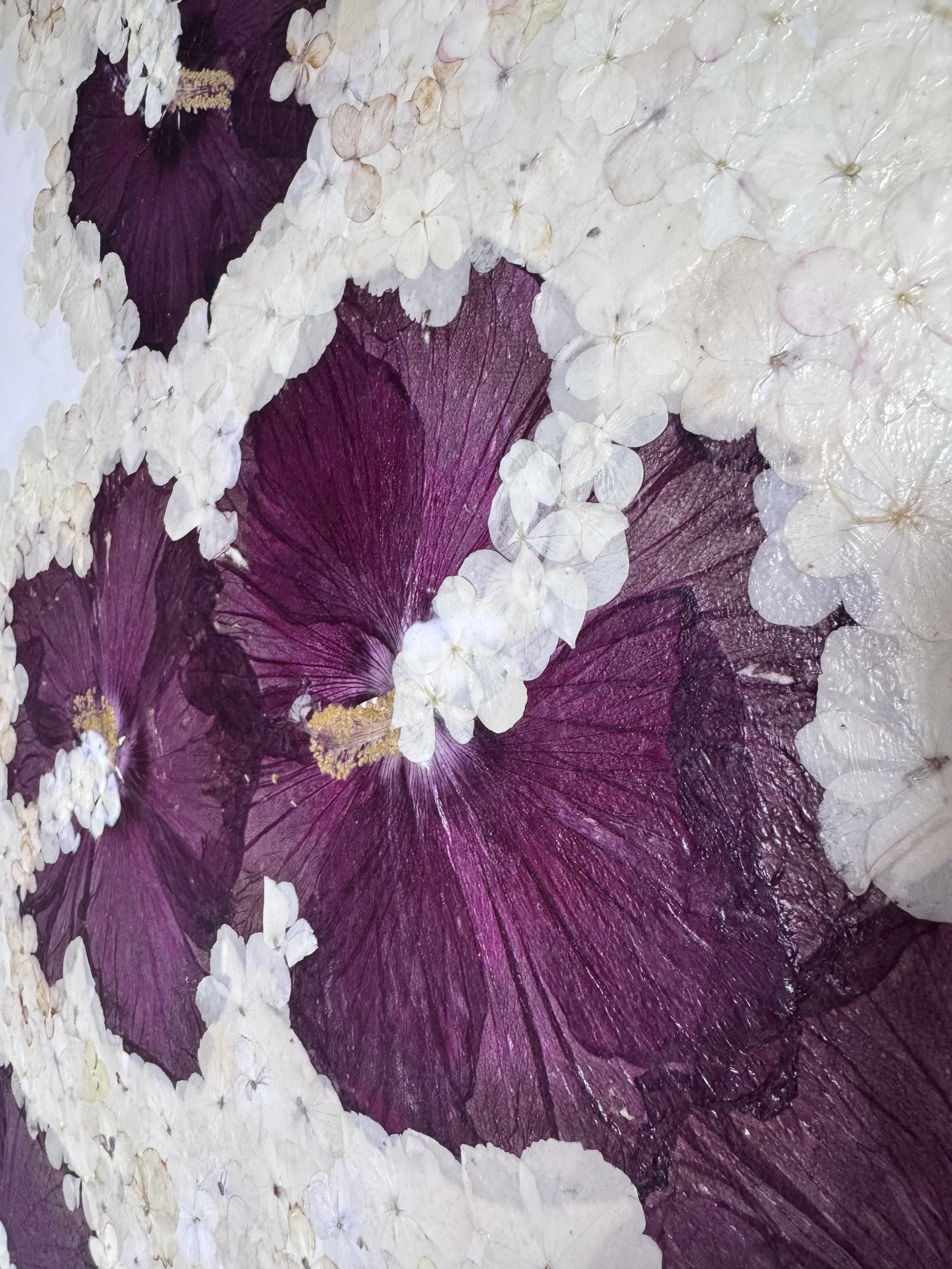 image1 (1).jpeg