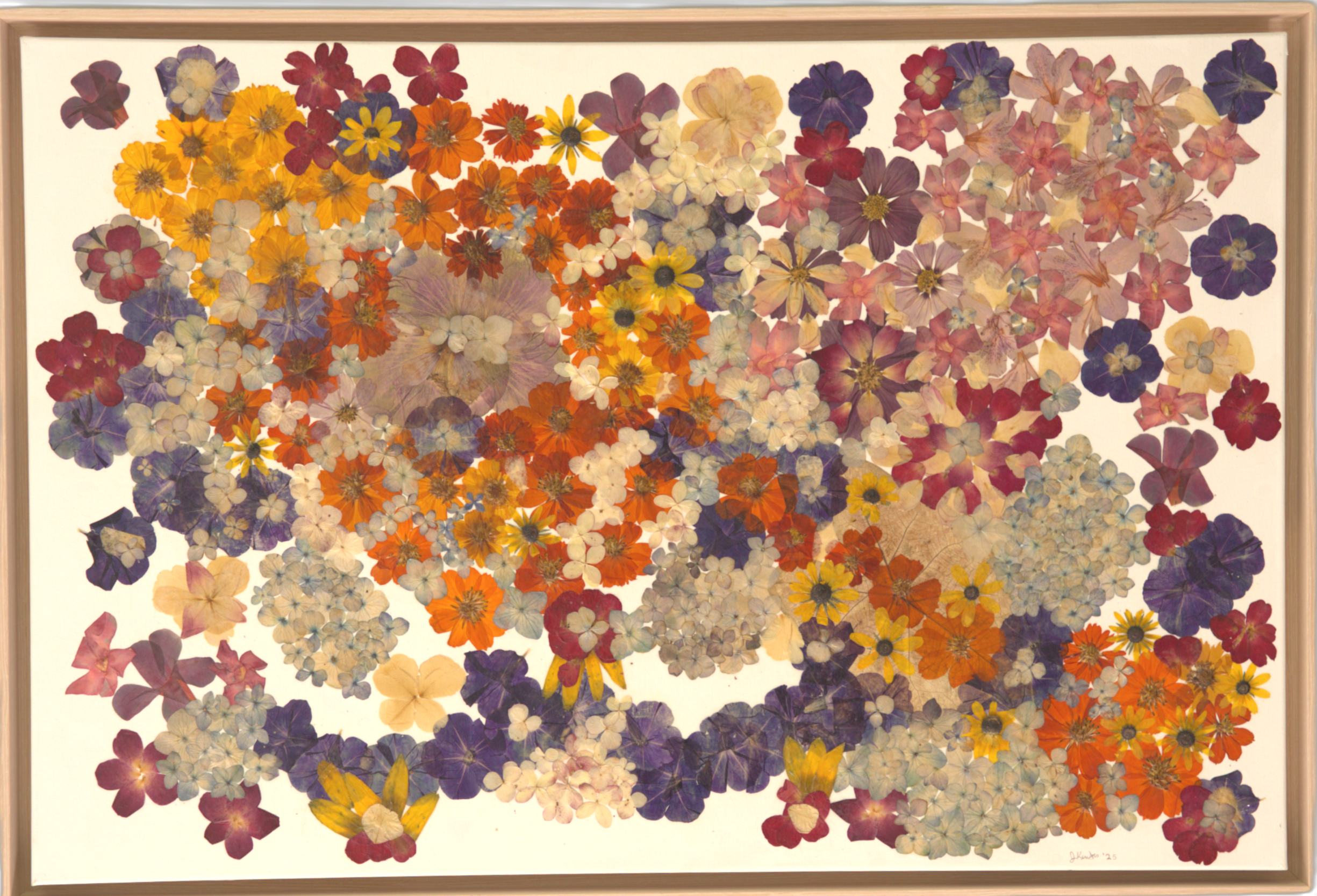 Chaos Anthon (Flower Chaos) 37.5 × 27.5 in/96.5 × 70 cm