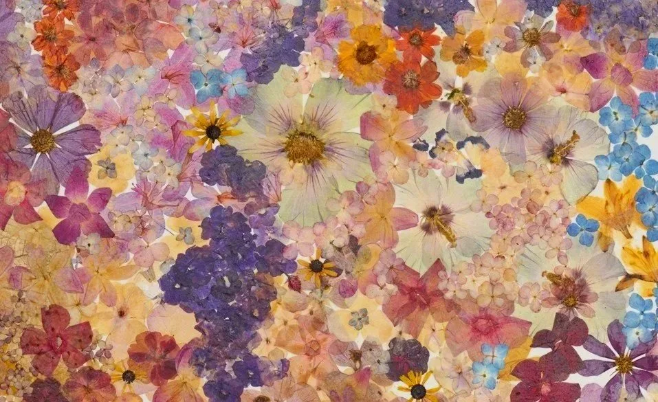 flower%2Bshot.jpg
