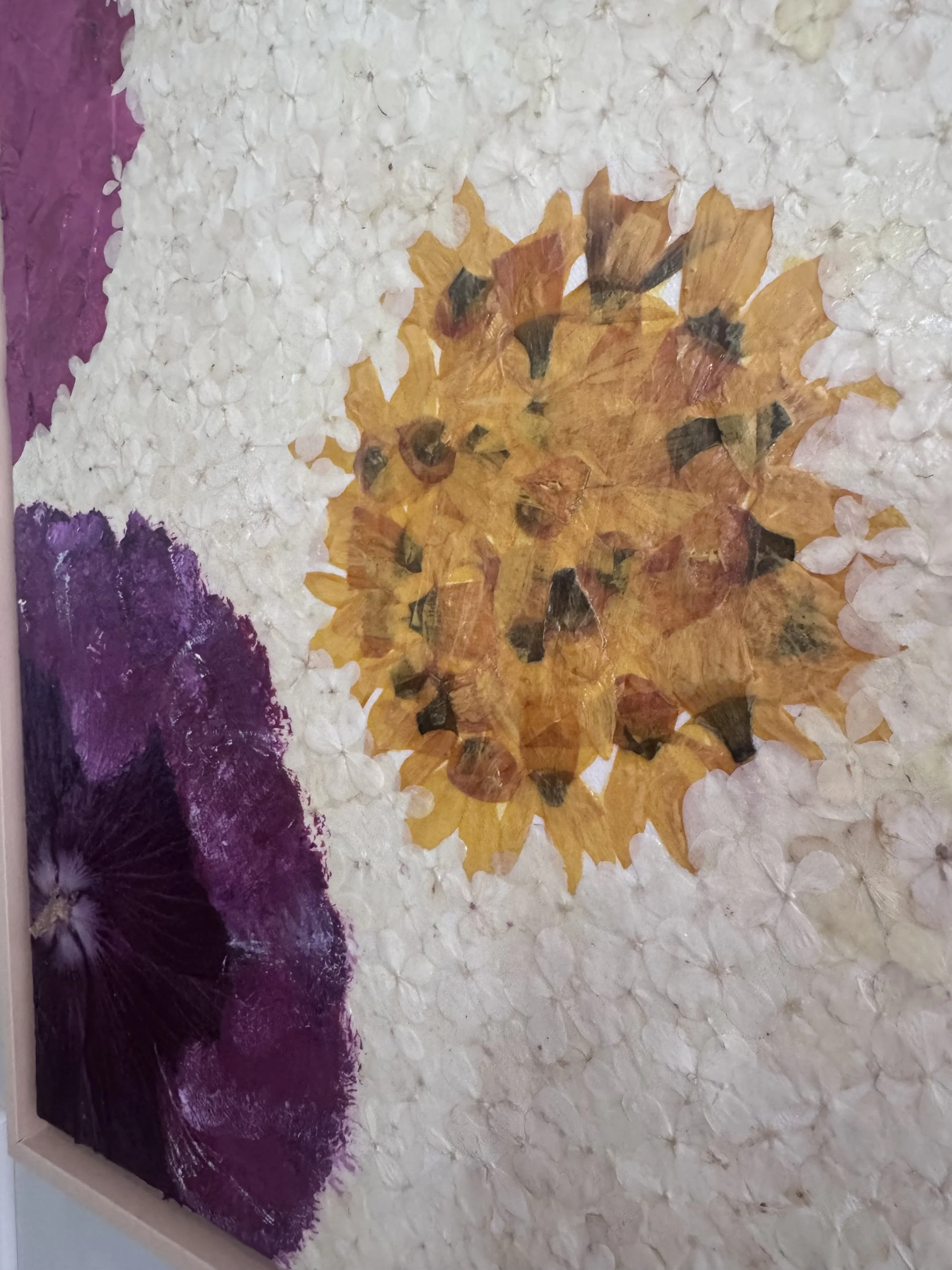 image6 (1).jpeg