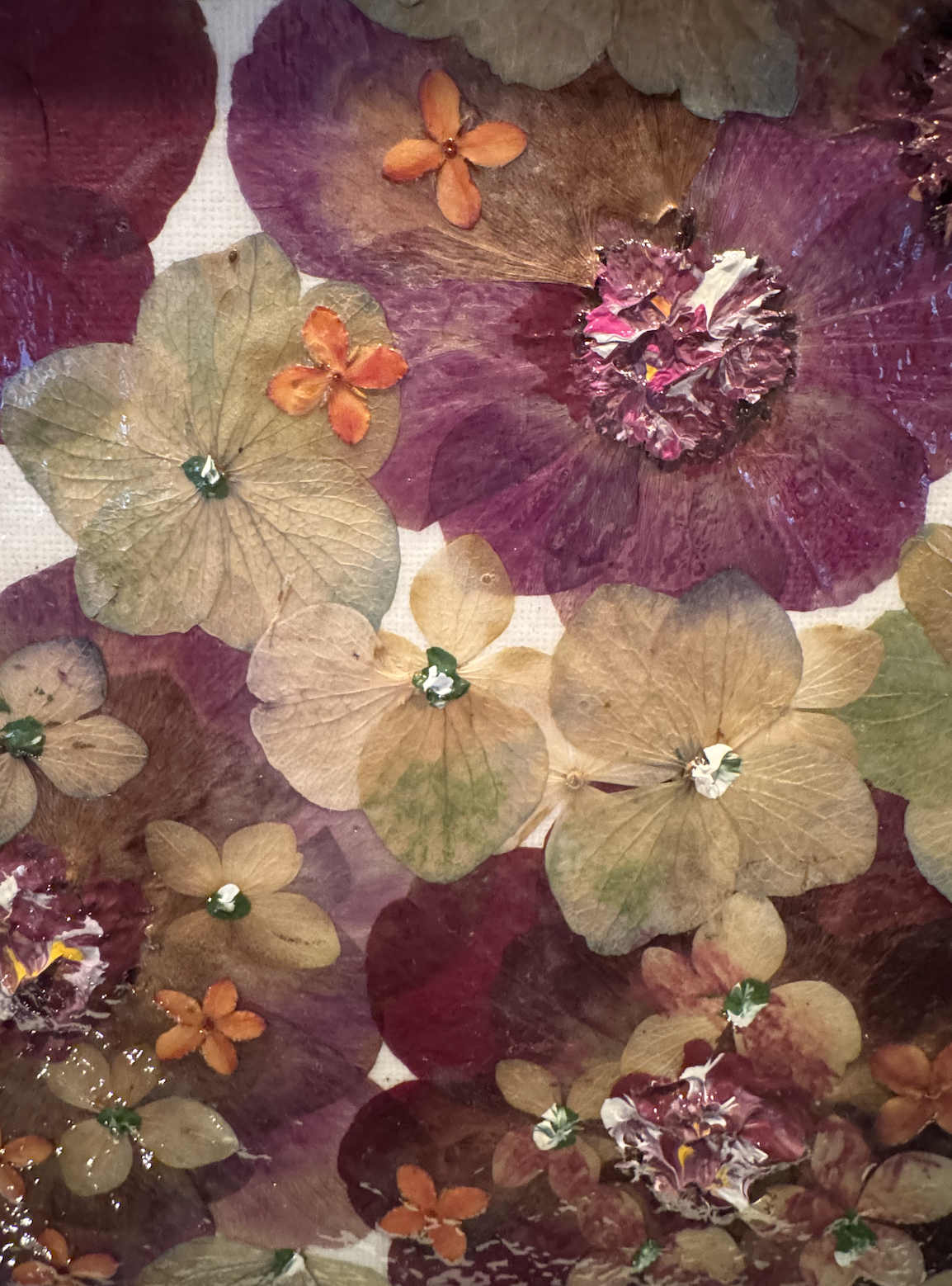 Screenshot 2026-02-03 at 10.43.58 pm.png