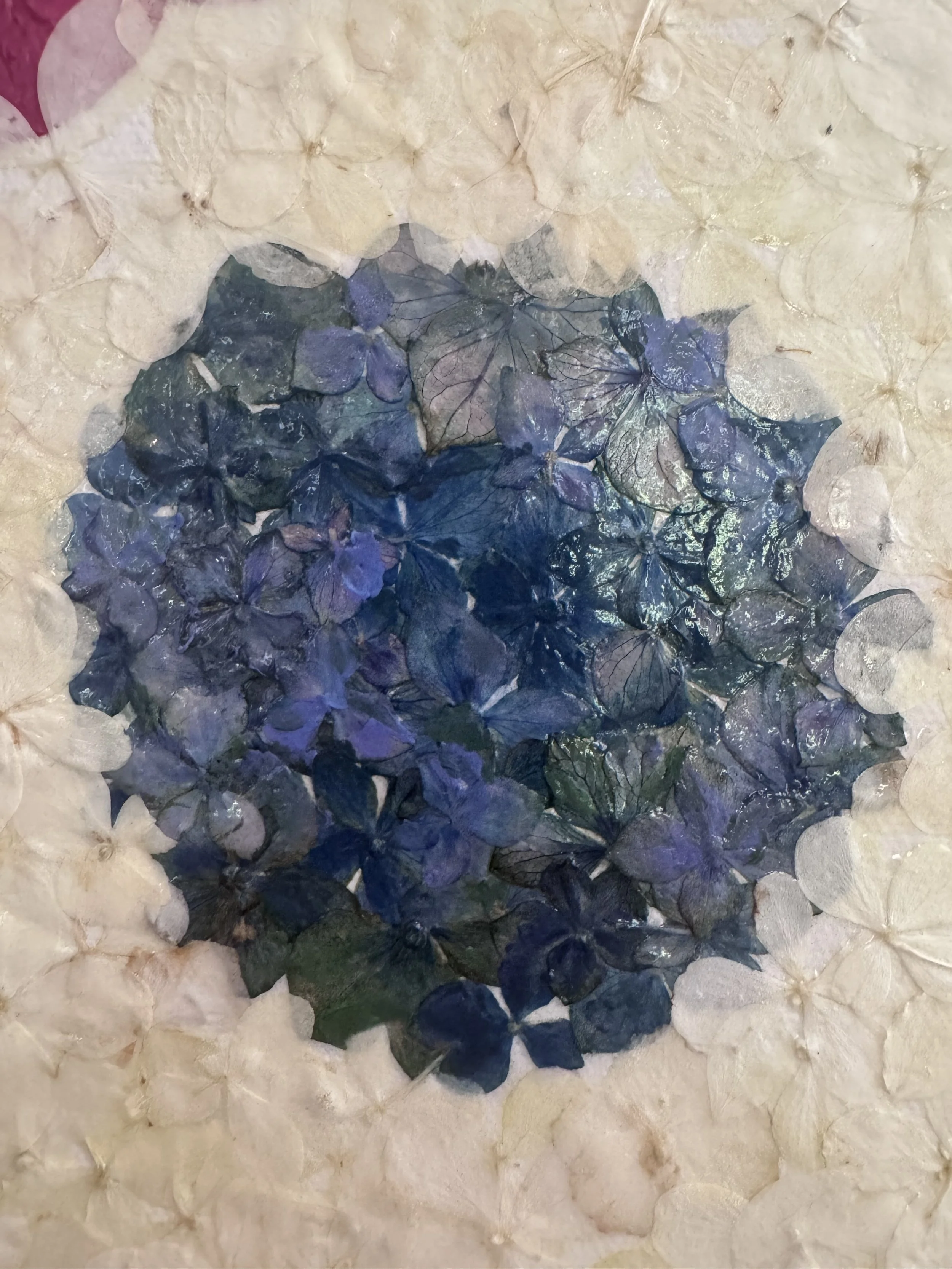 image3 (4).jpeg