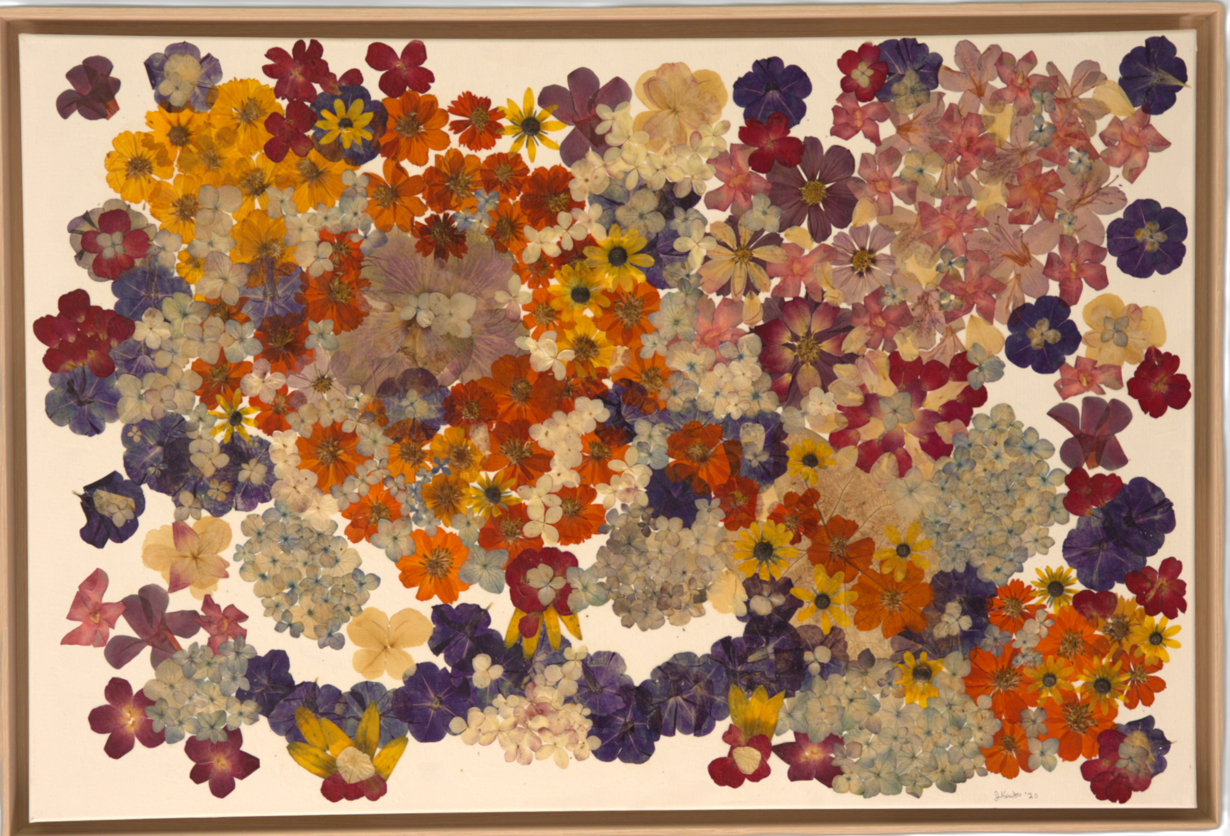 26.5.24_JOANNA_FLOWERS_LIAM27.png