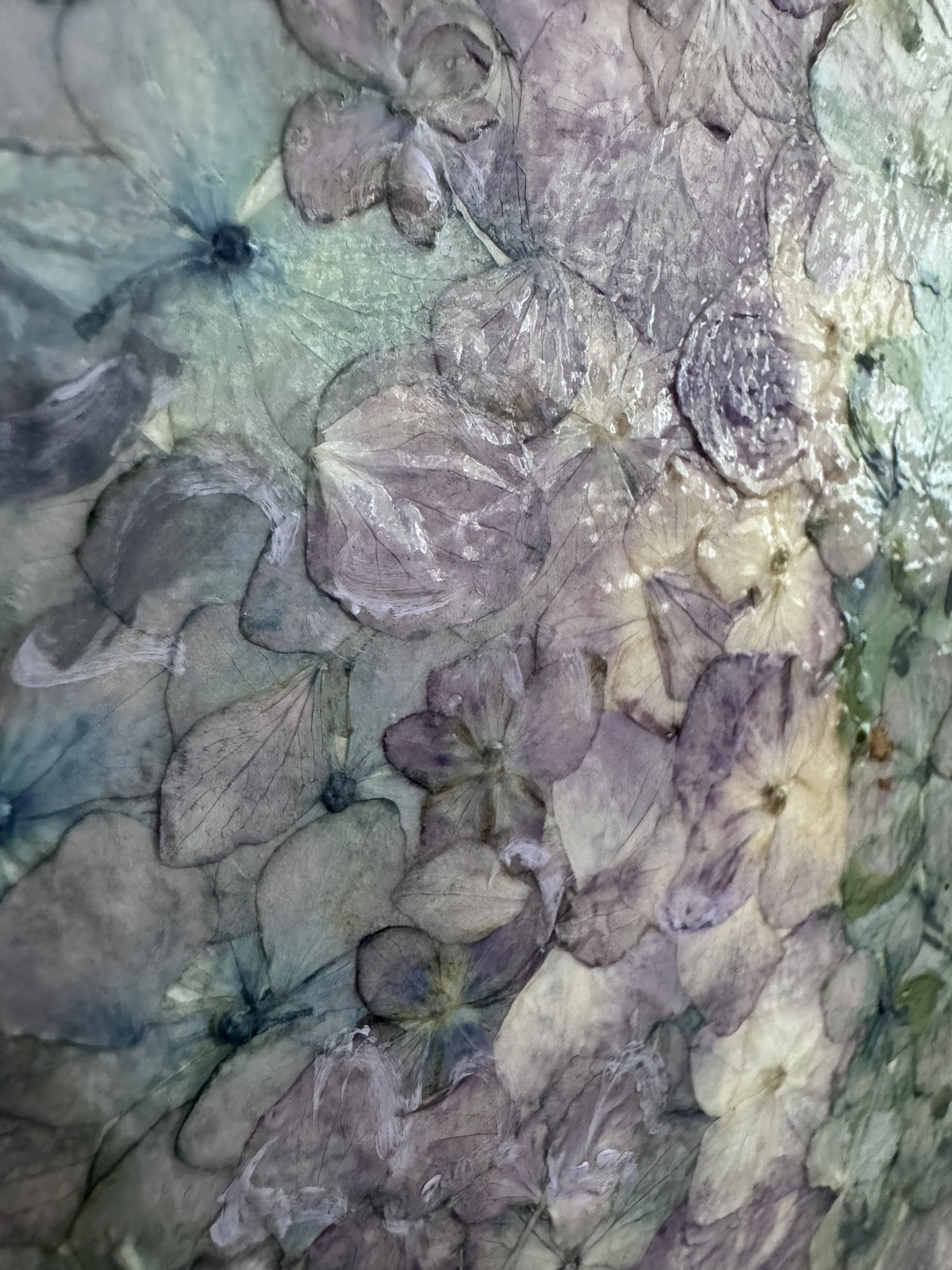 image6.jpeg