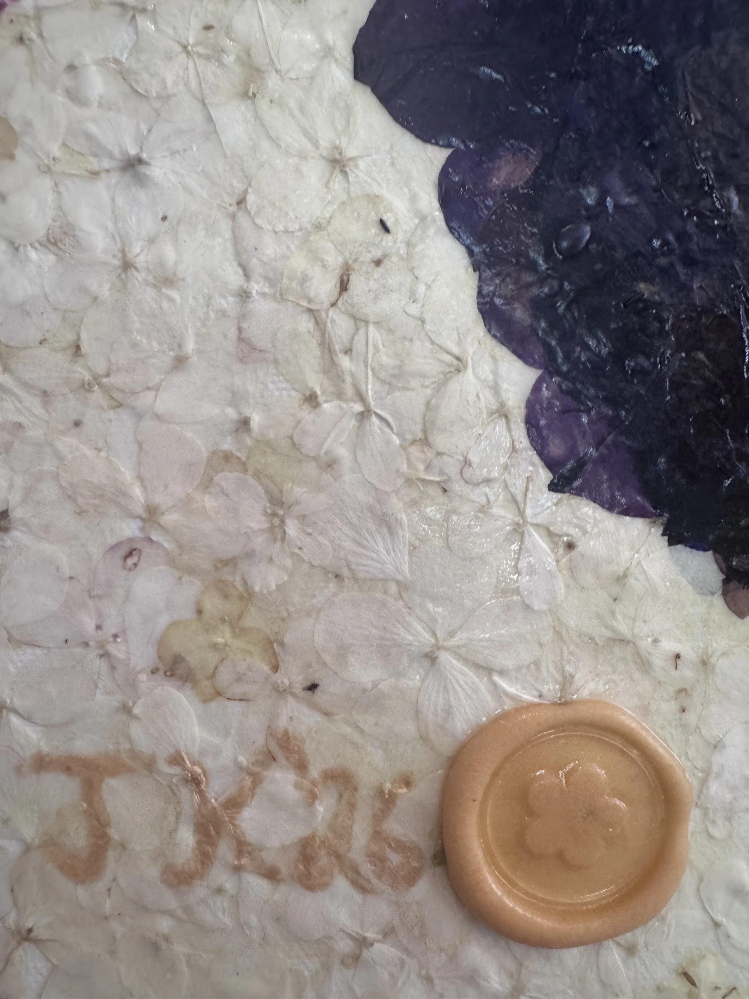 image4 (3).jpeg