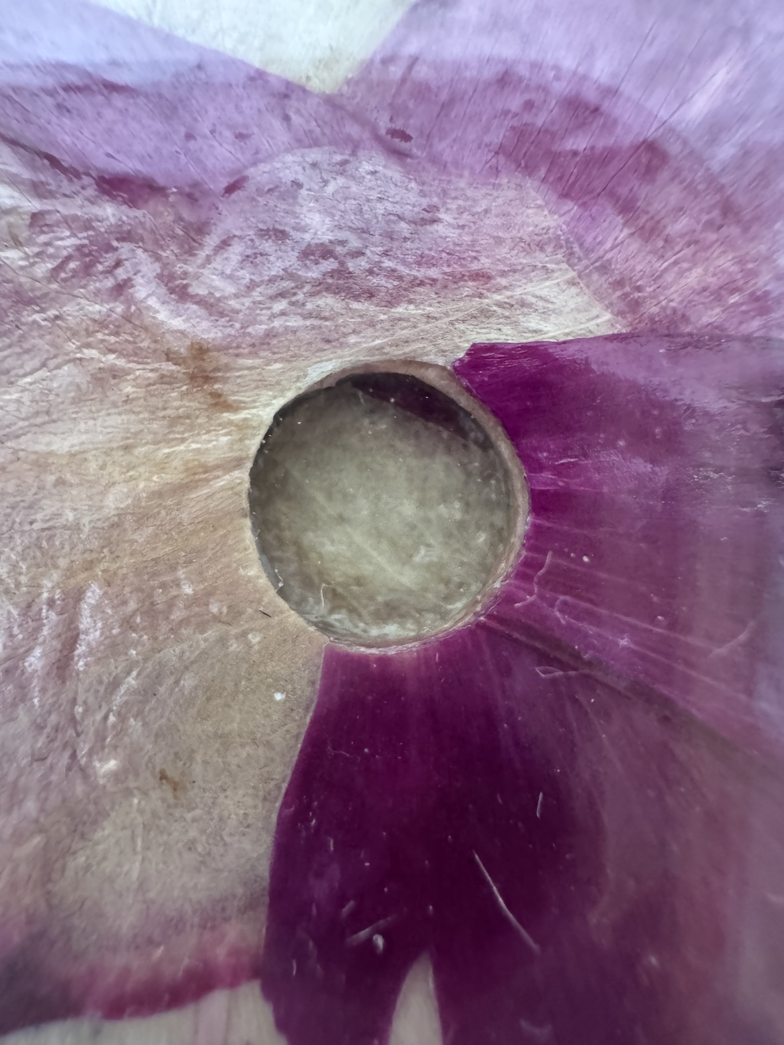 image3 (5).jpeg