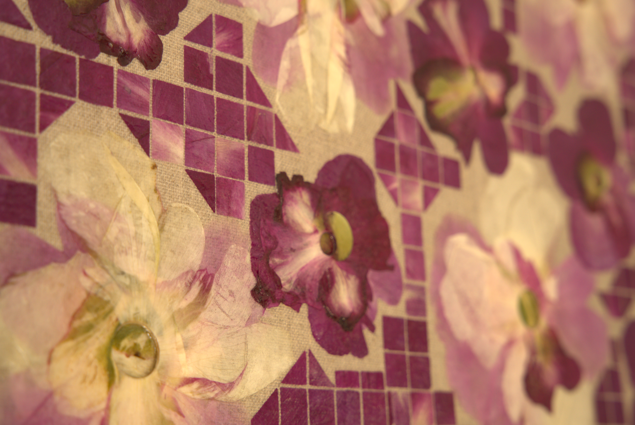 26.5.24_JOANNA_FLOWERS_LIAM135.png