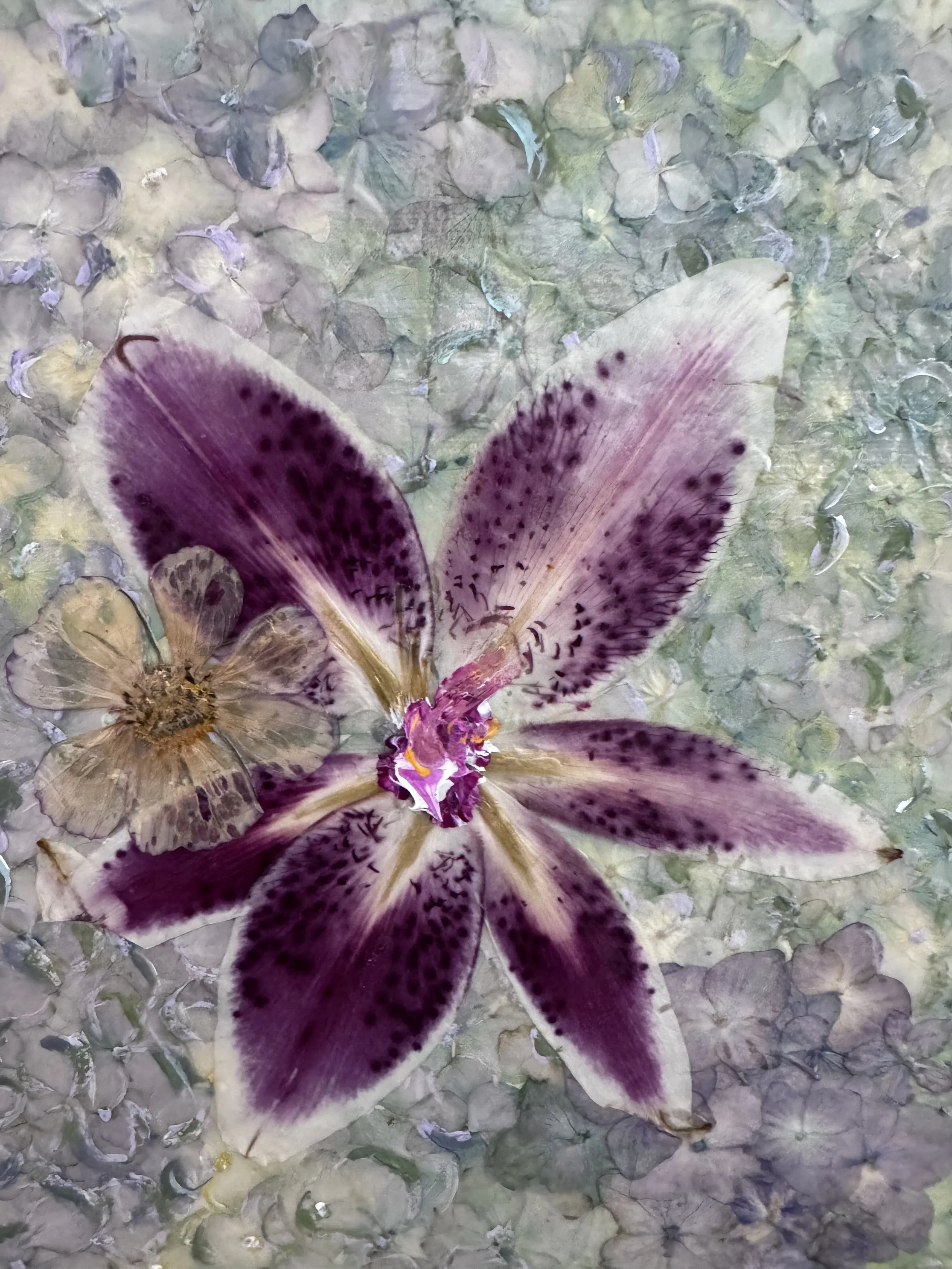 image3 (3).jpeg