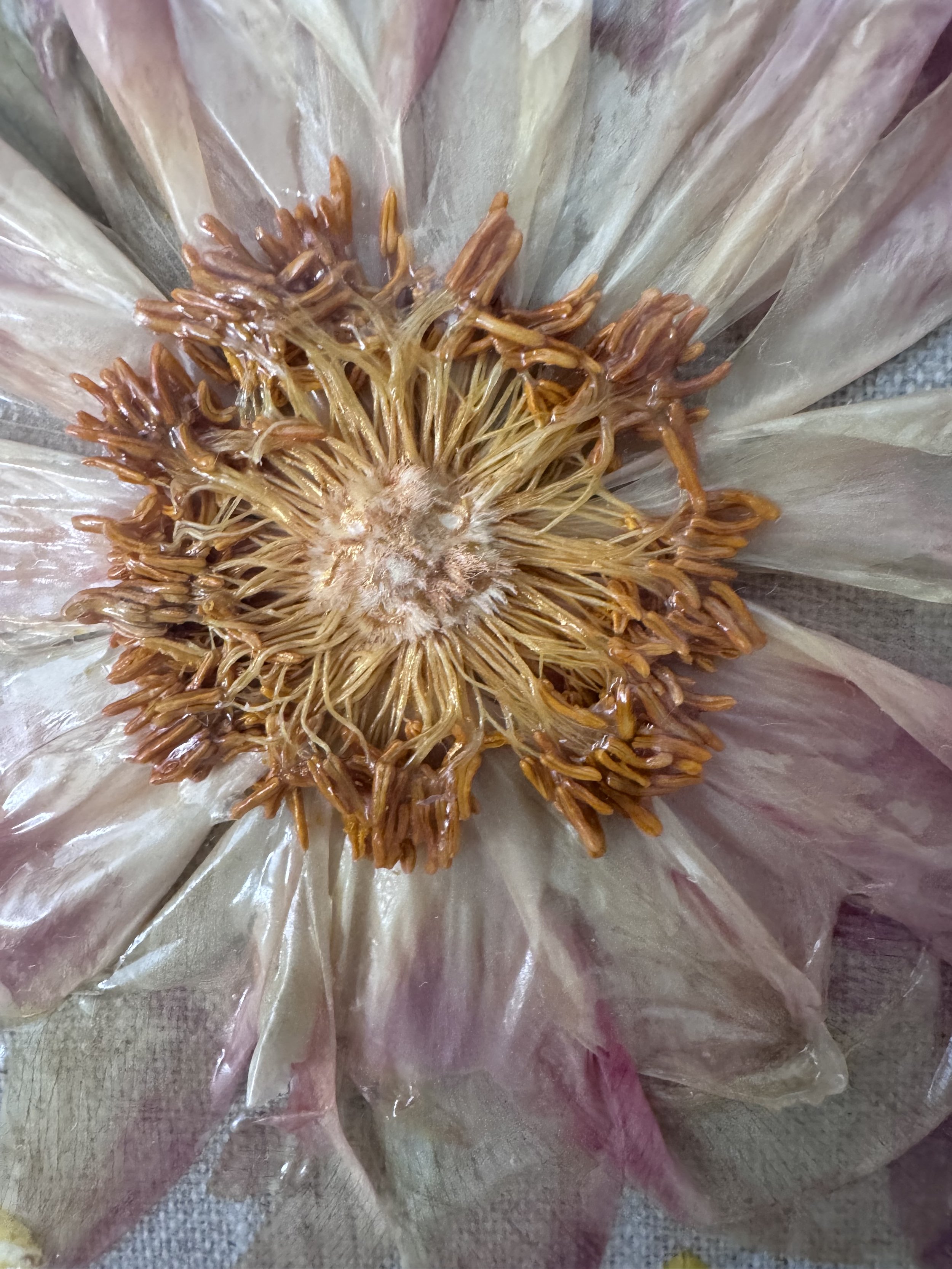 image4 (5).jpeg