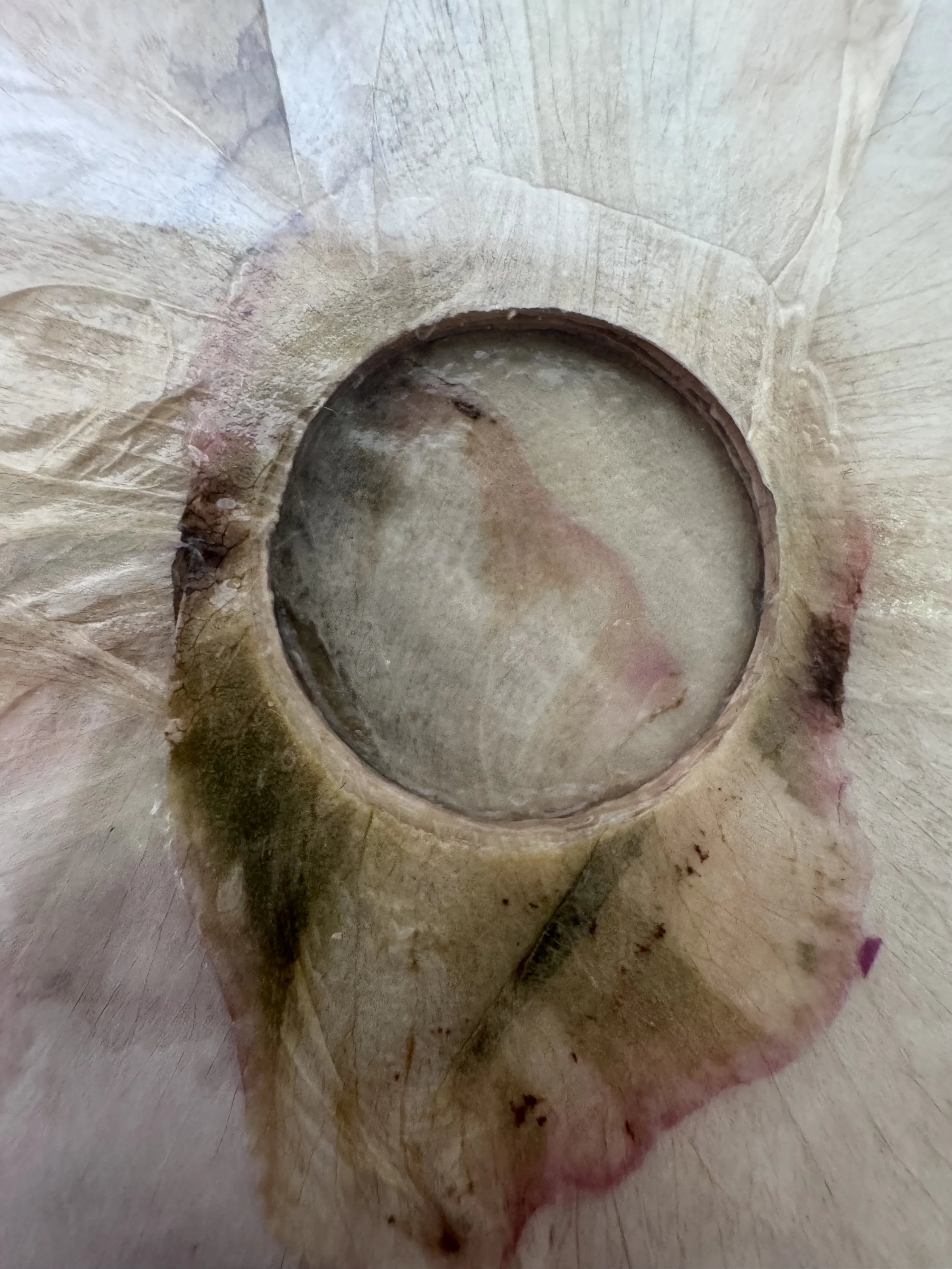 image4 (4).jpeg