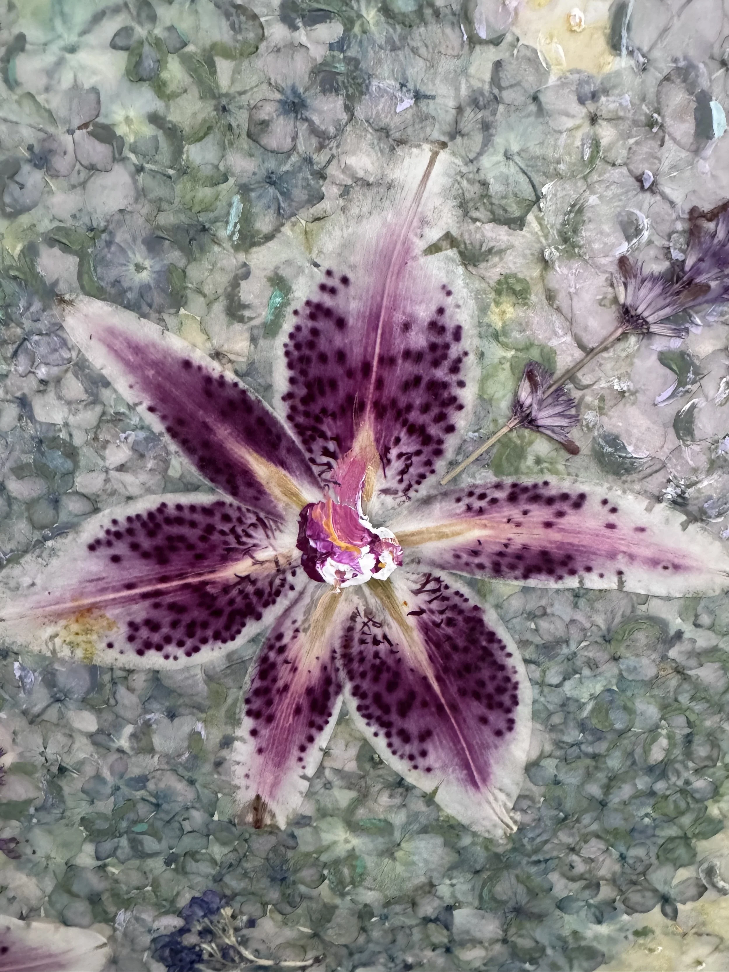 image7.jpeg