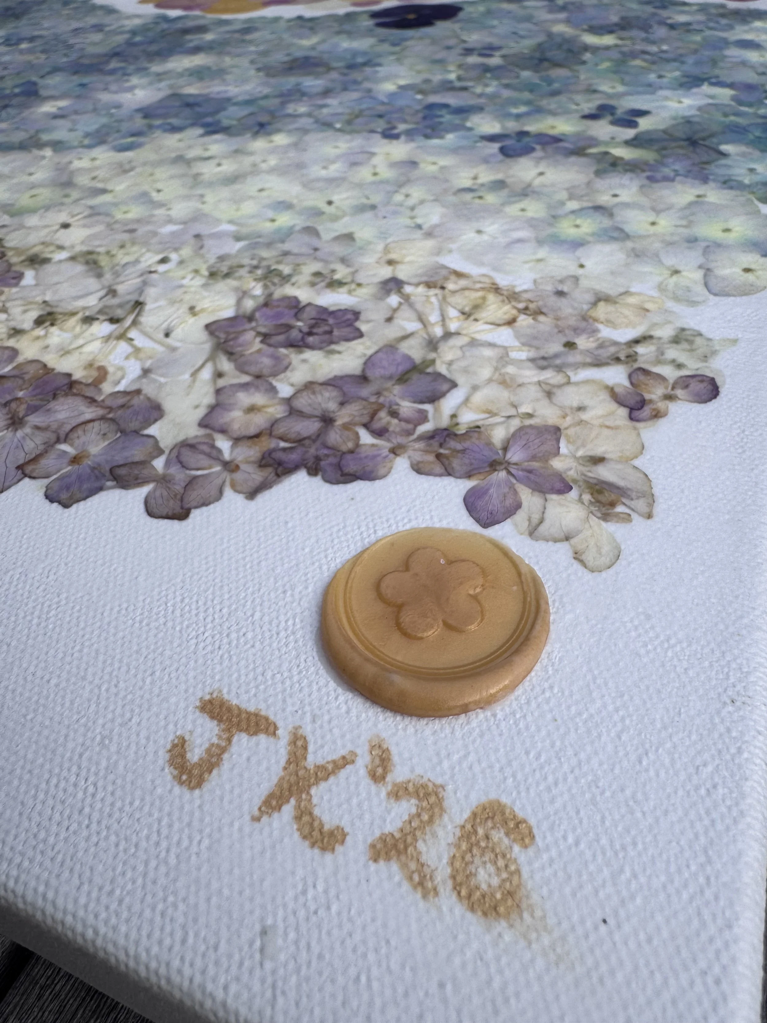 image2 (2).jpeg