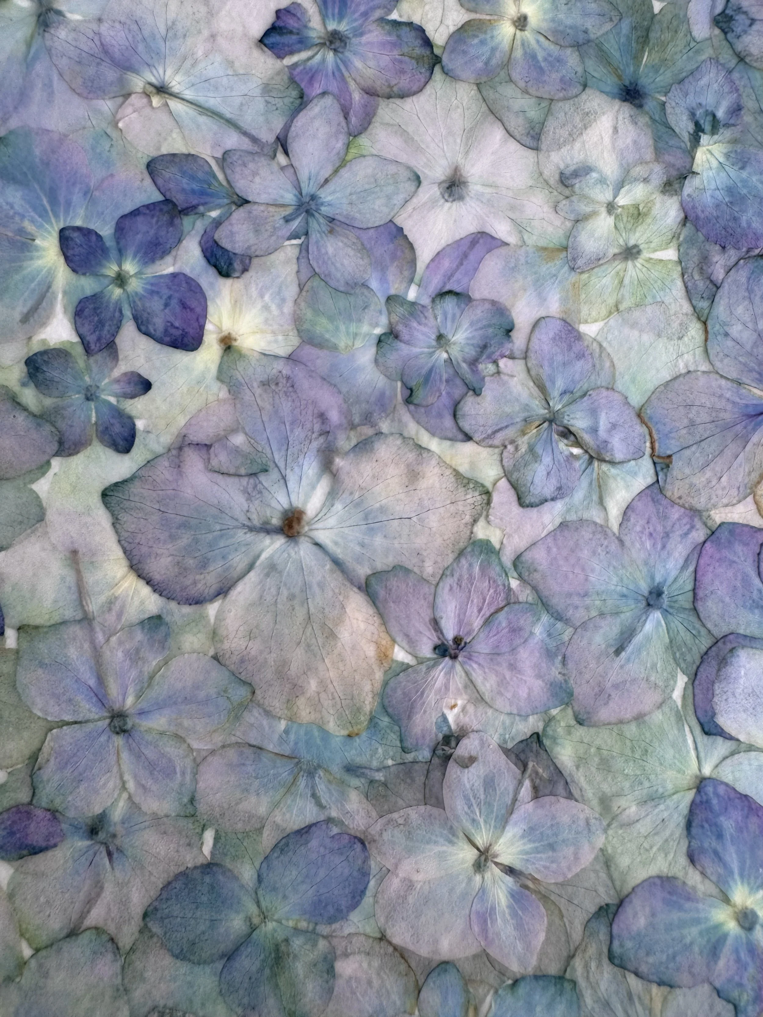 image3 (1).jpeg
