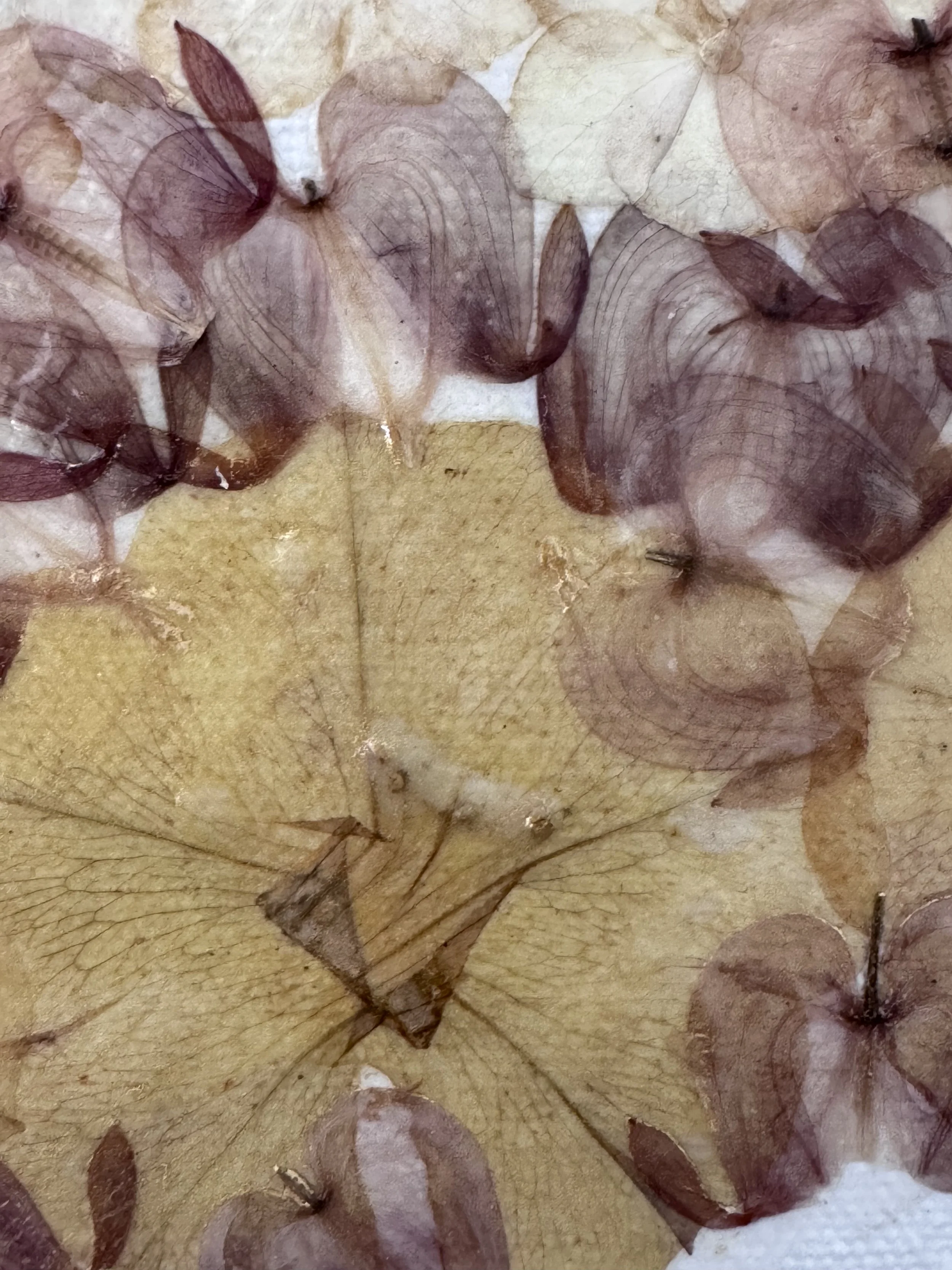 image1 (4).jpeg