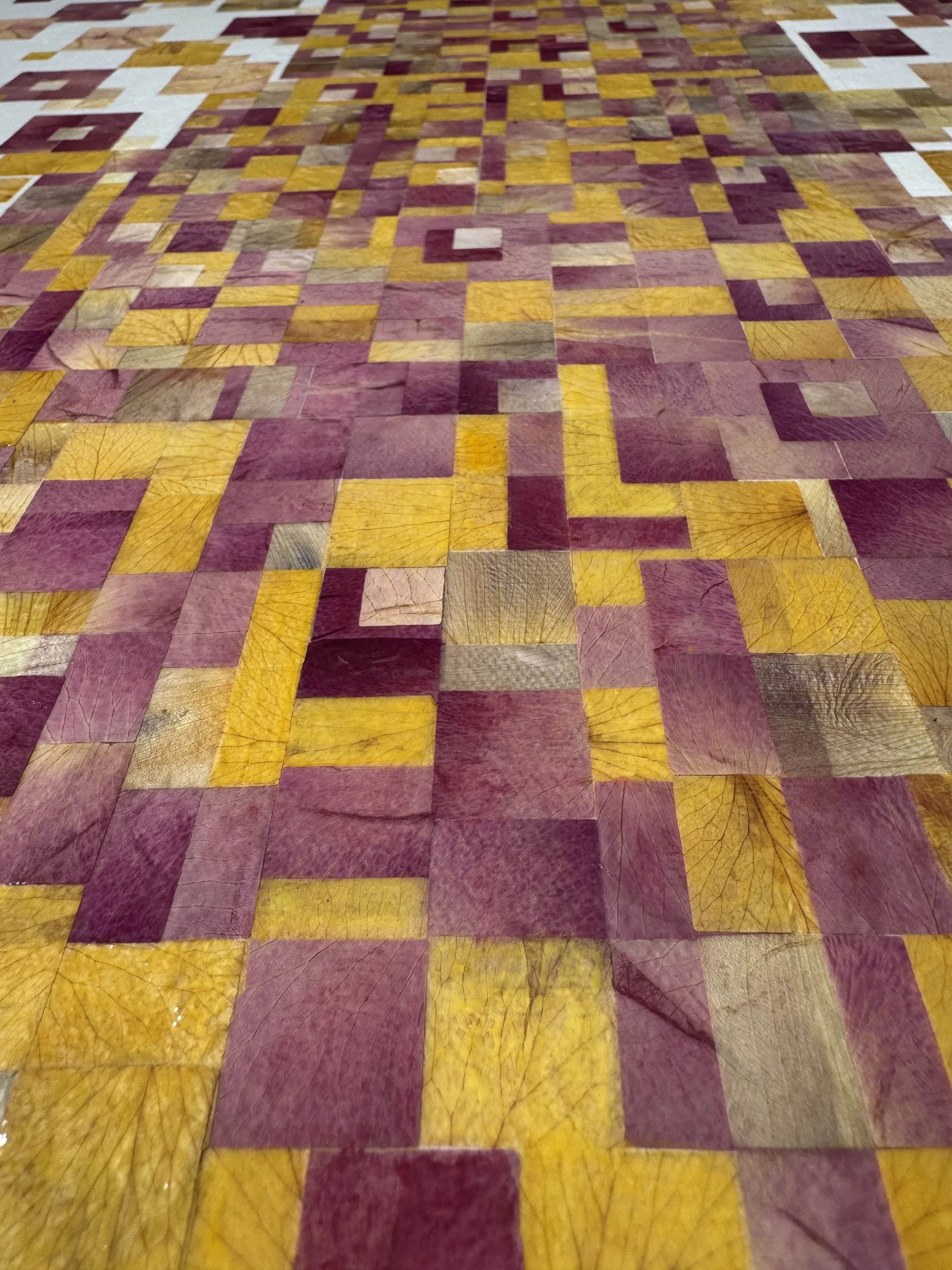image3 (7).jpeg