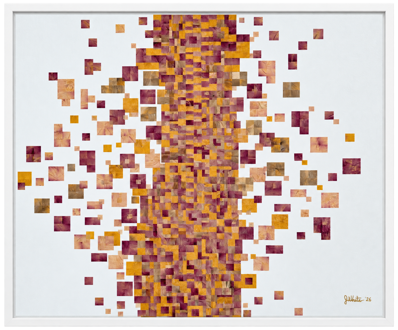 image1 (11).png