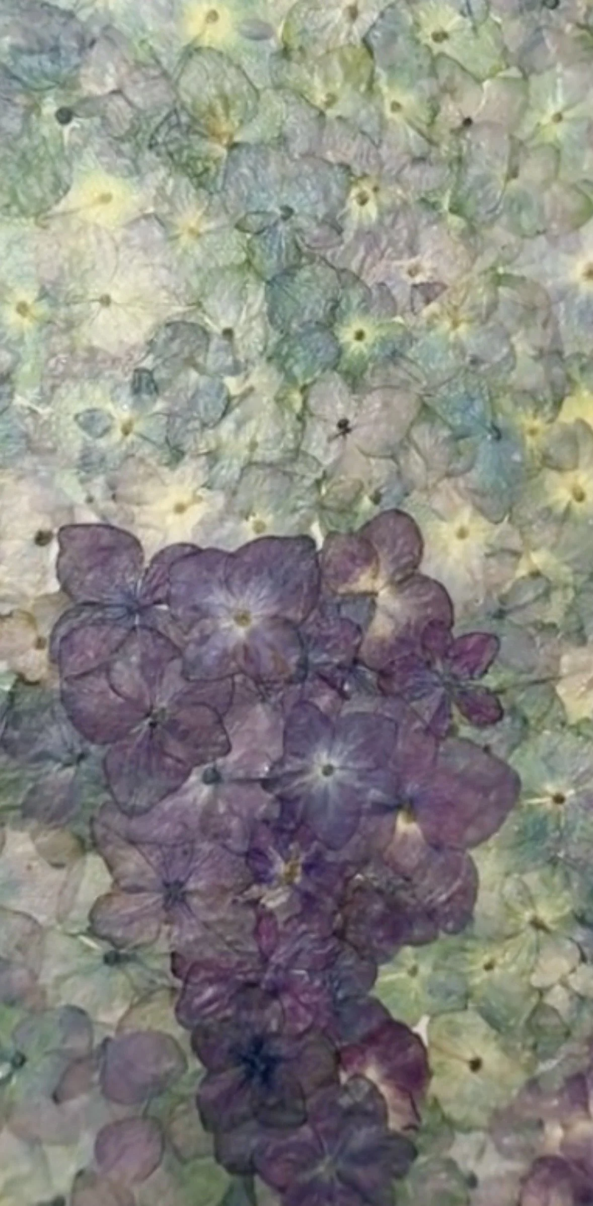 image0.jpeg