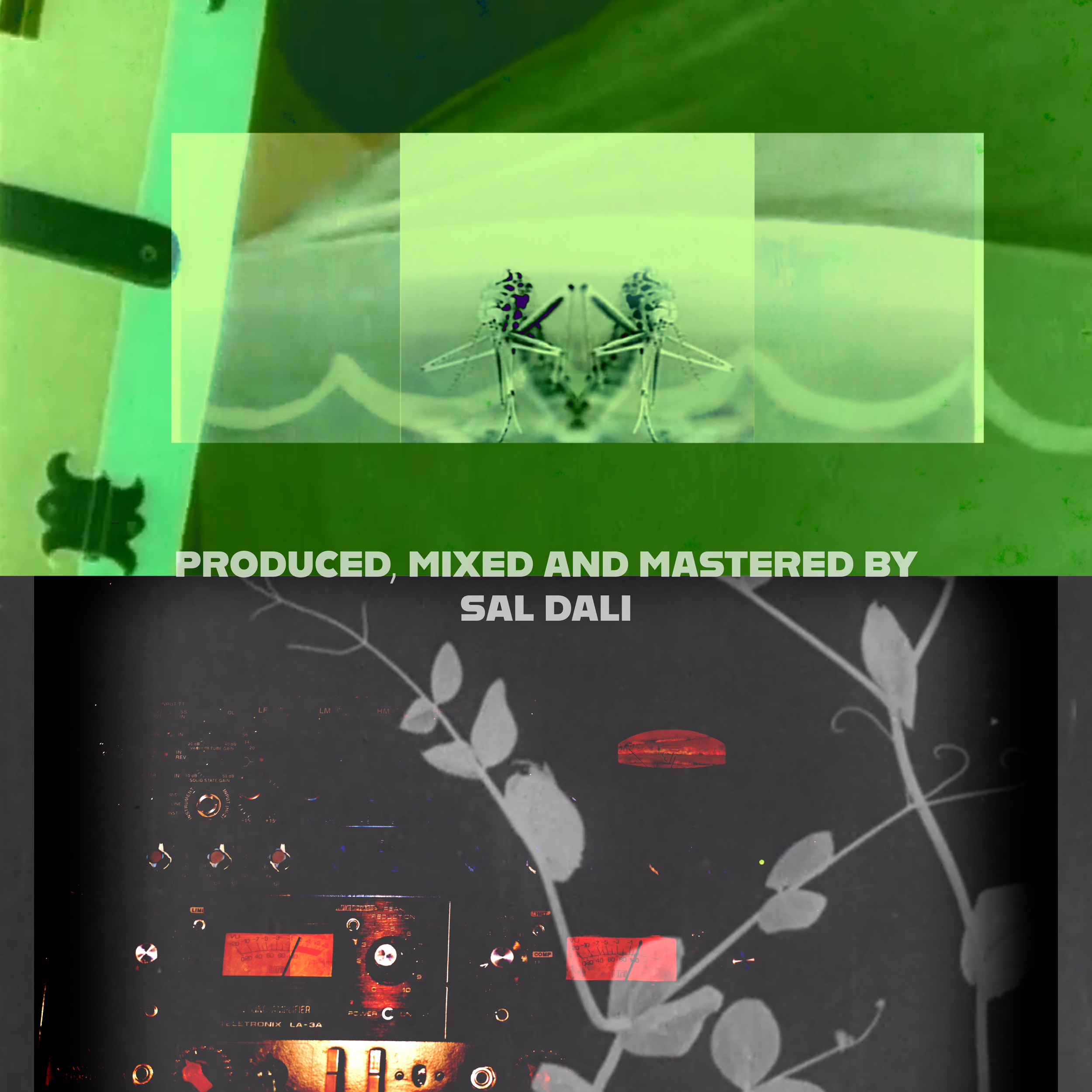 Untitled 9.PNG