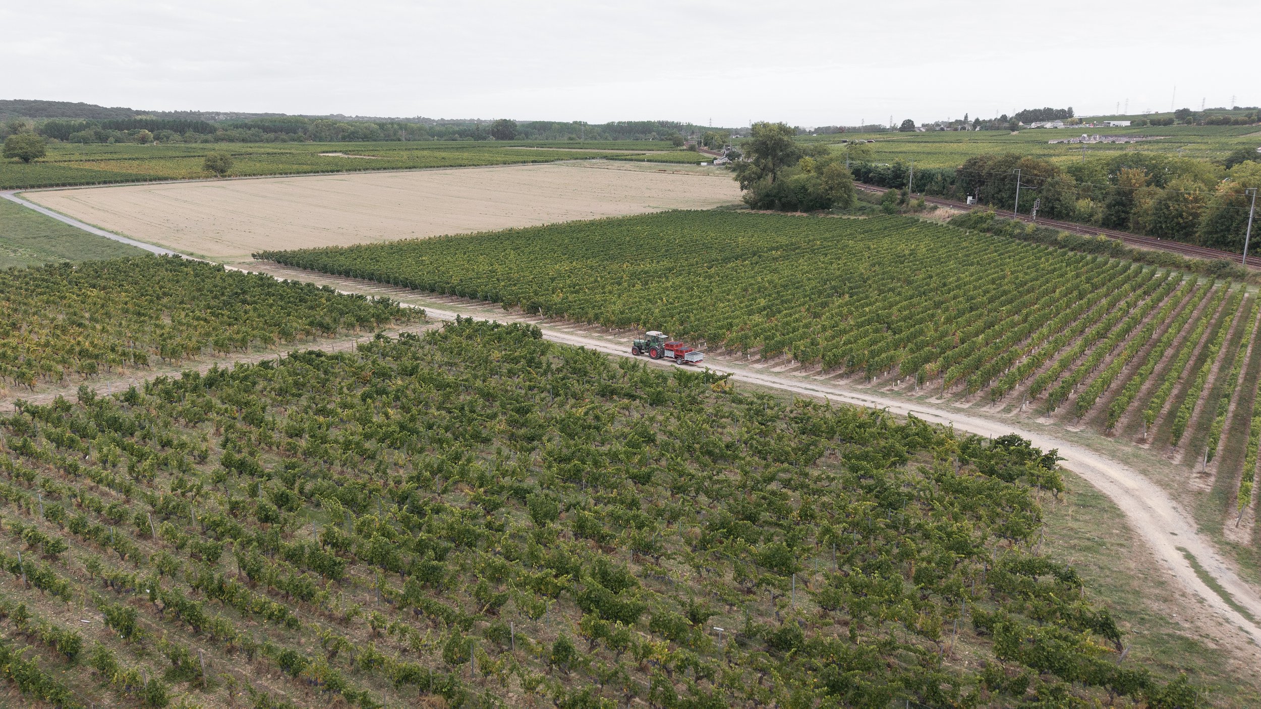 dji_fly_20260909_093232_0598_1789055605971_photo.jpg