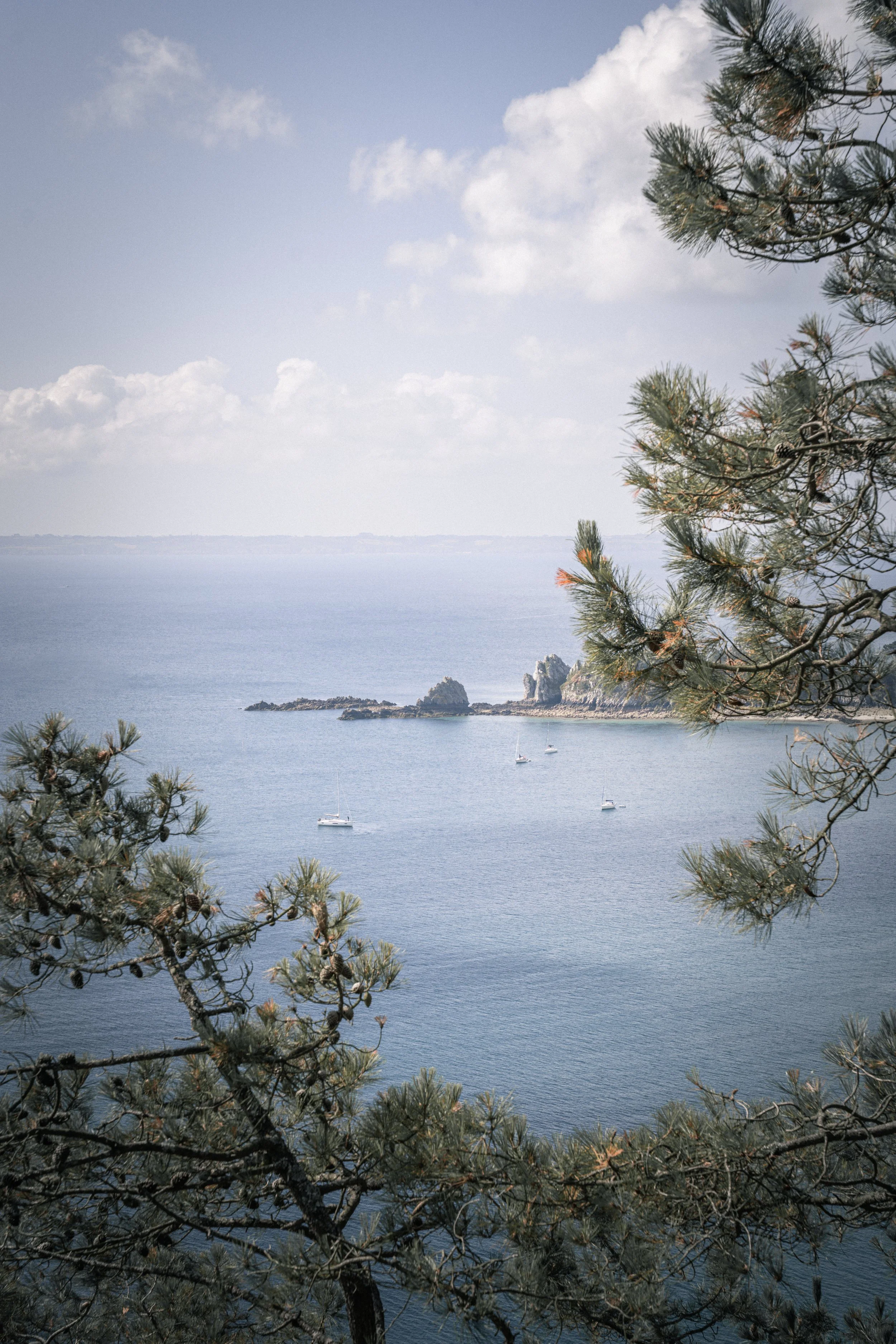 Vue de la mer avec quelques voiliers, une formation rocheuse au loin et des branches de pin au premier plan, sous un ciel nuageux.