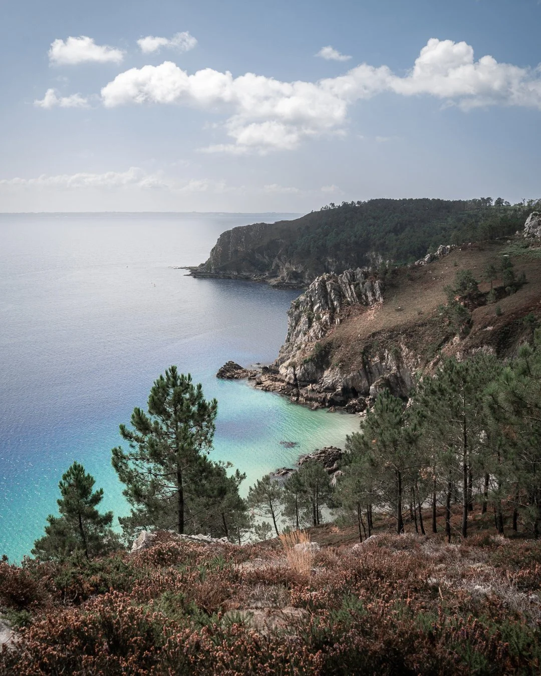Paysage côtier avec des falaises rocheuses, une forêt de conifères, et une mer turquoise sous un ciel partiellement nuageux.