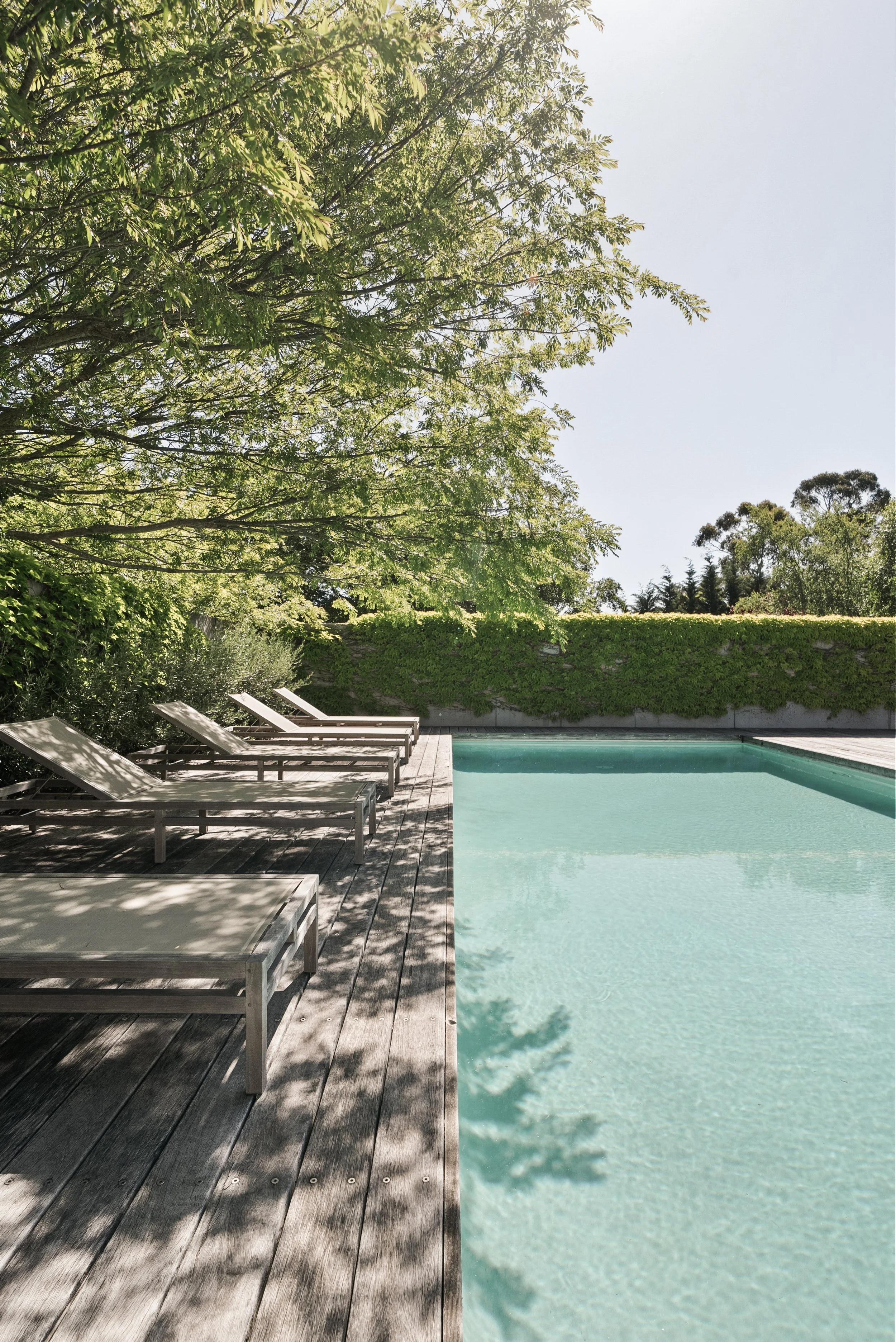 blue pool with sun chairs and trees