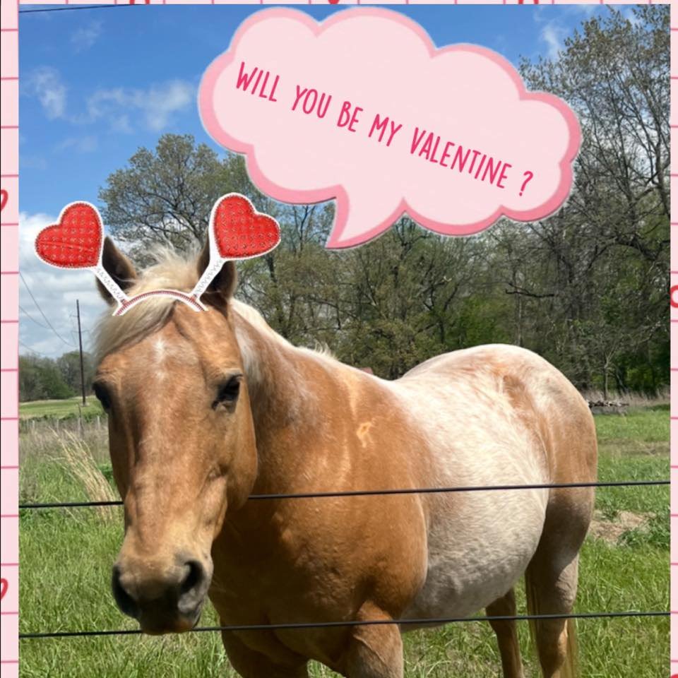 Homeschool Valentine's Party