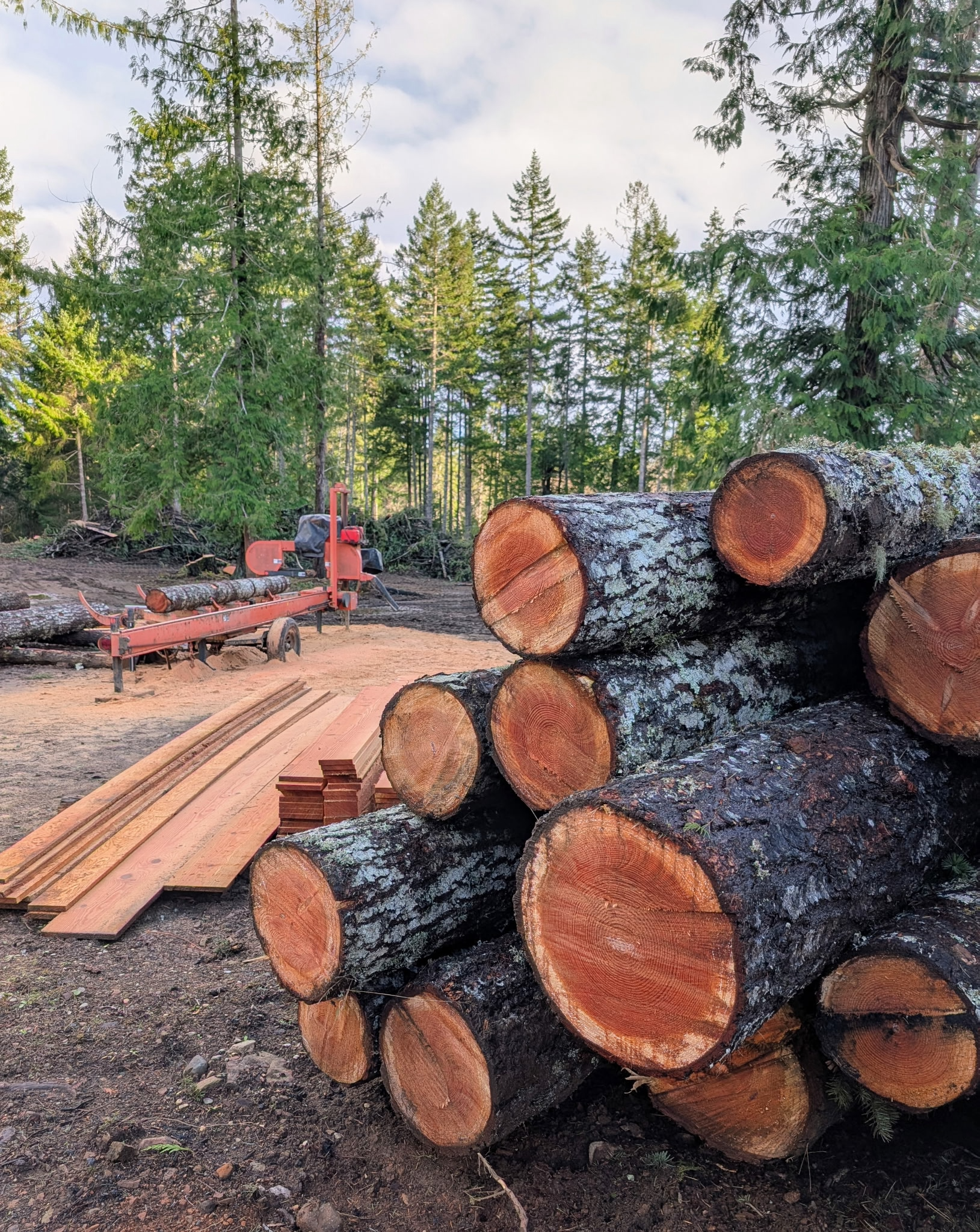 mill and log pile.png